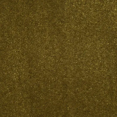 529204