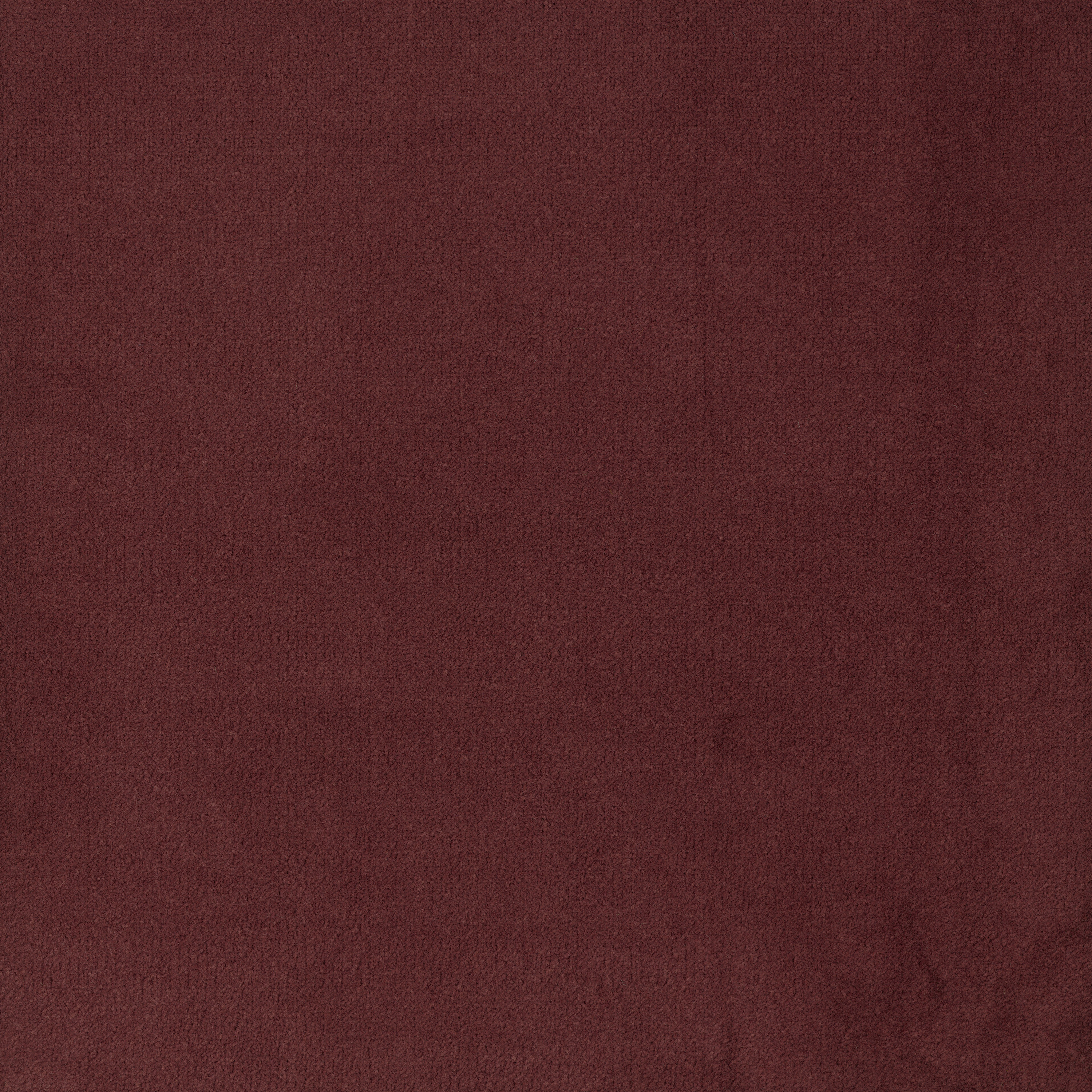 41855 Brazil Wood