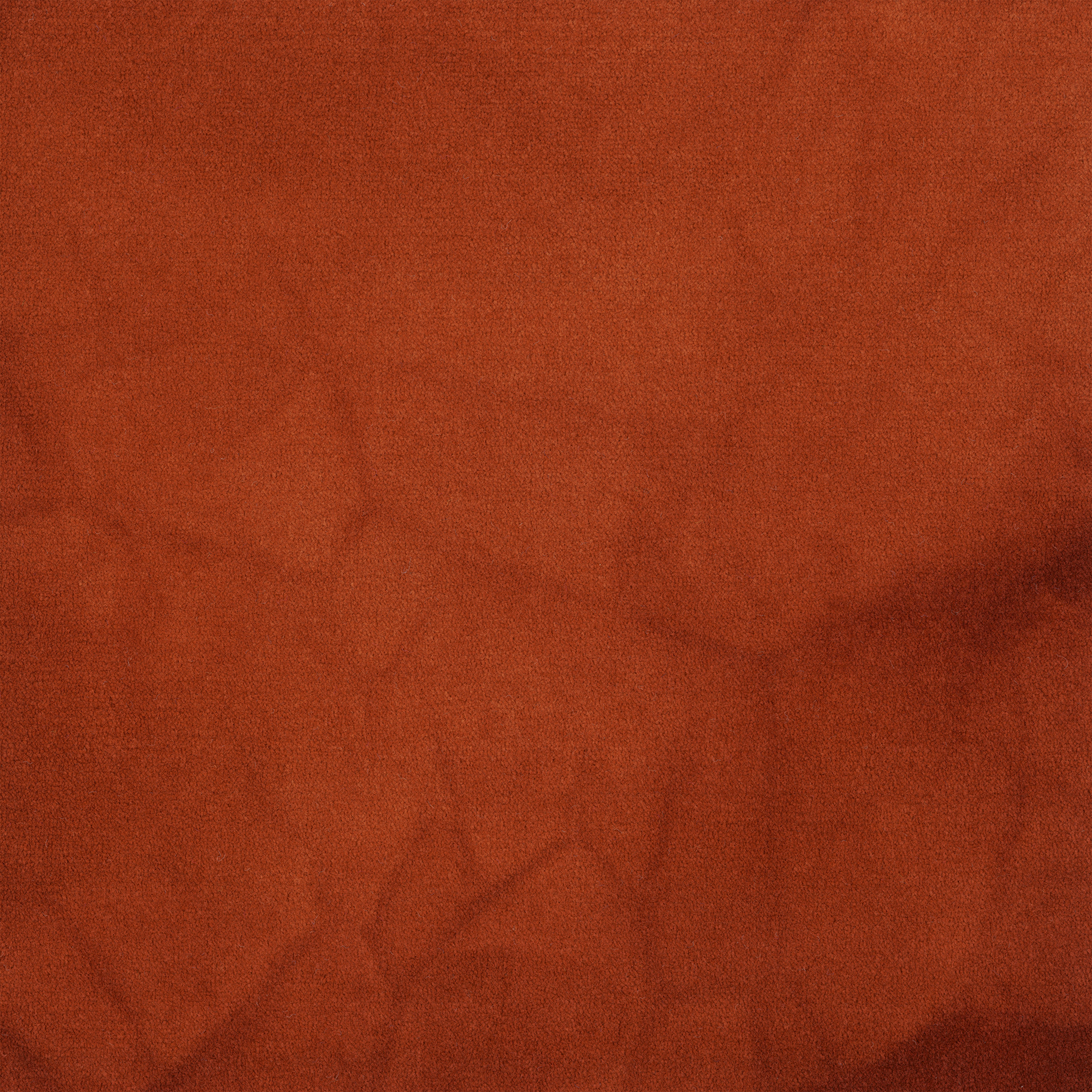 41864 Madder Root