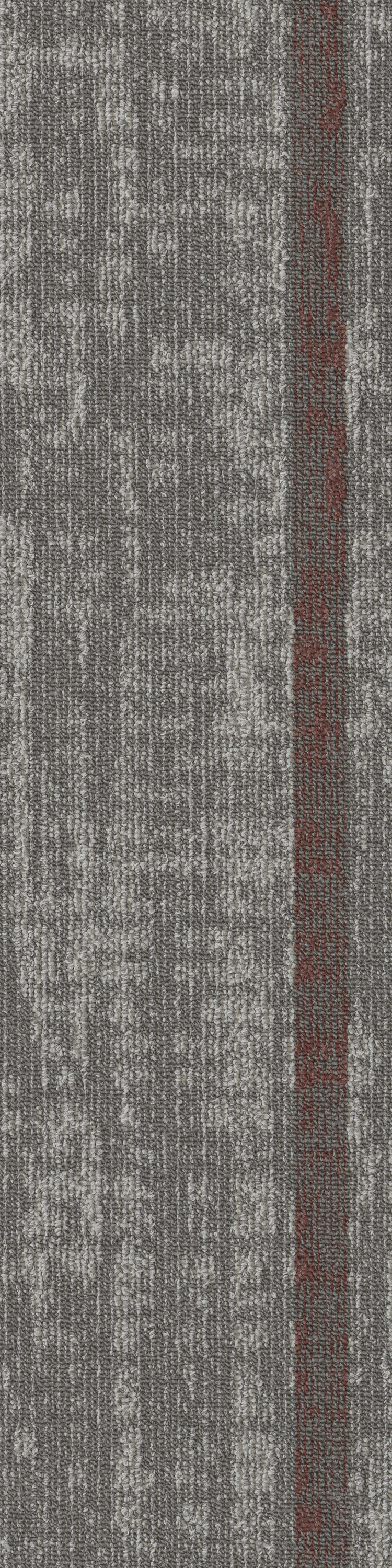 Dynamic Interactive 67517