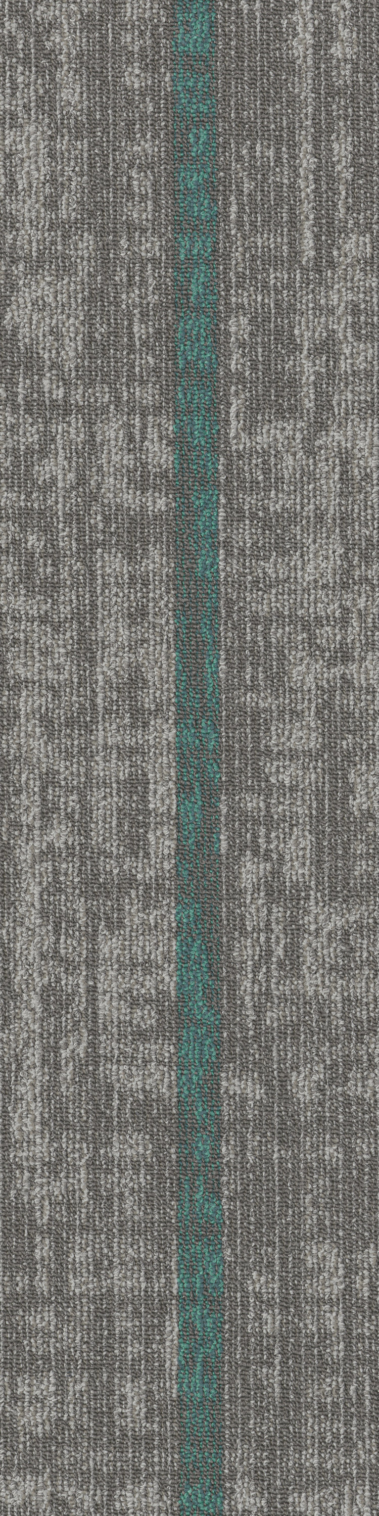 Vivid Interactive 67519