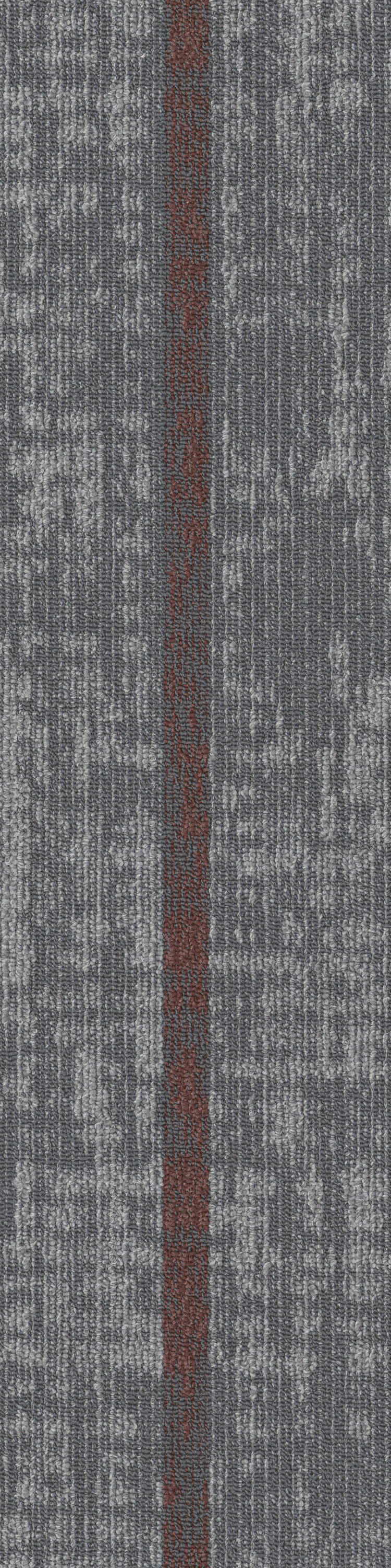 Dynamic Network  67537