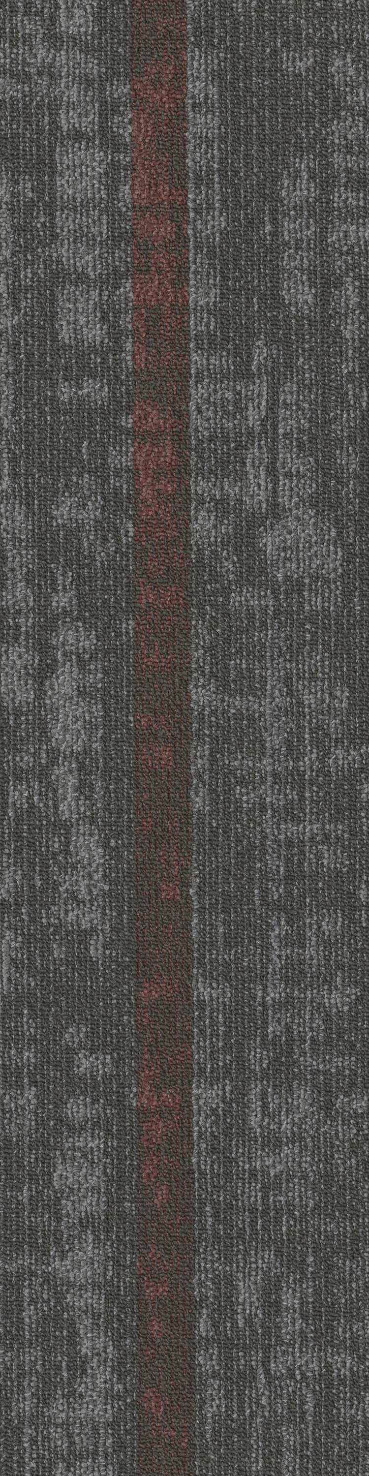 Dynamic Link  67557