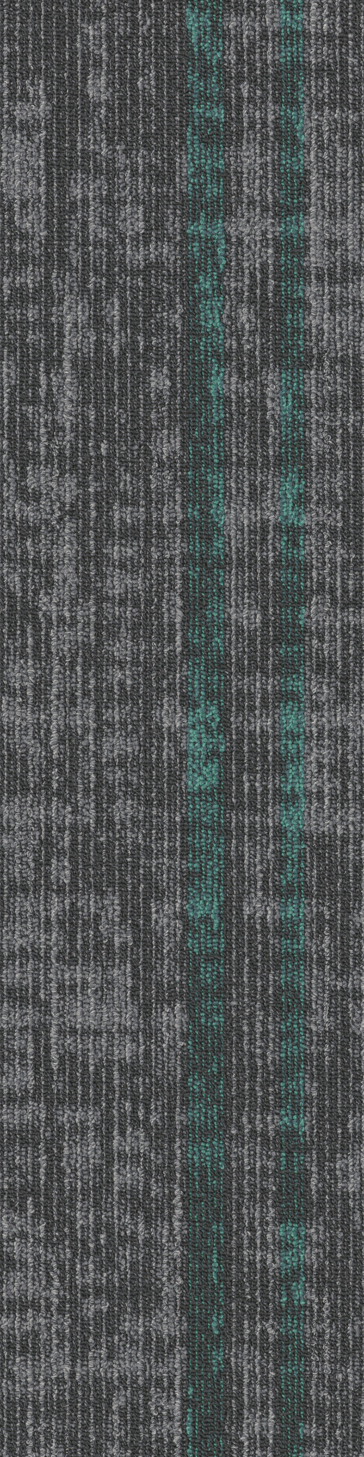 Vivid Foundation  67584