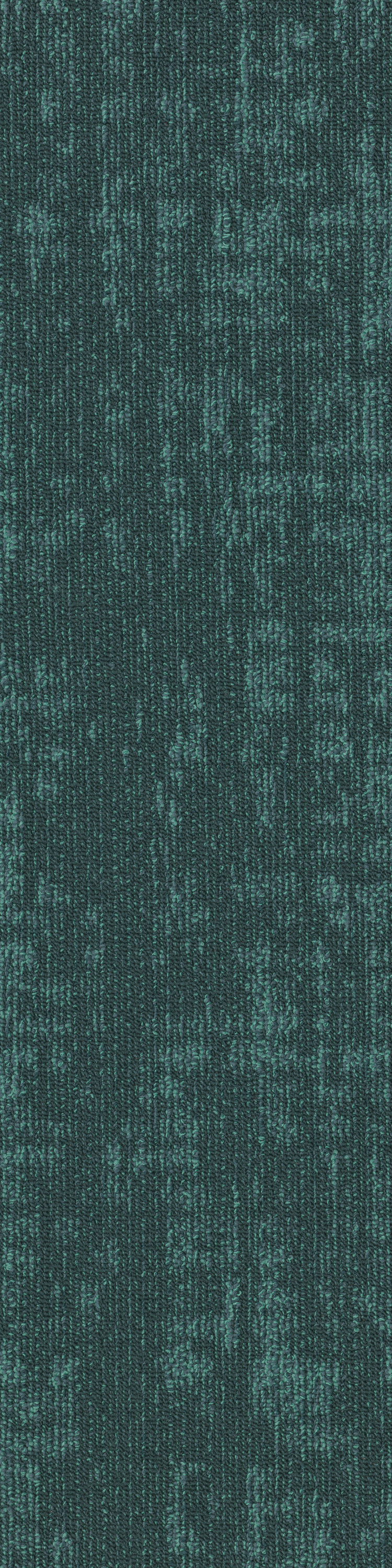 Vivid  67375