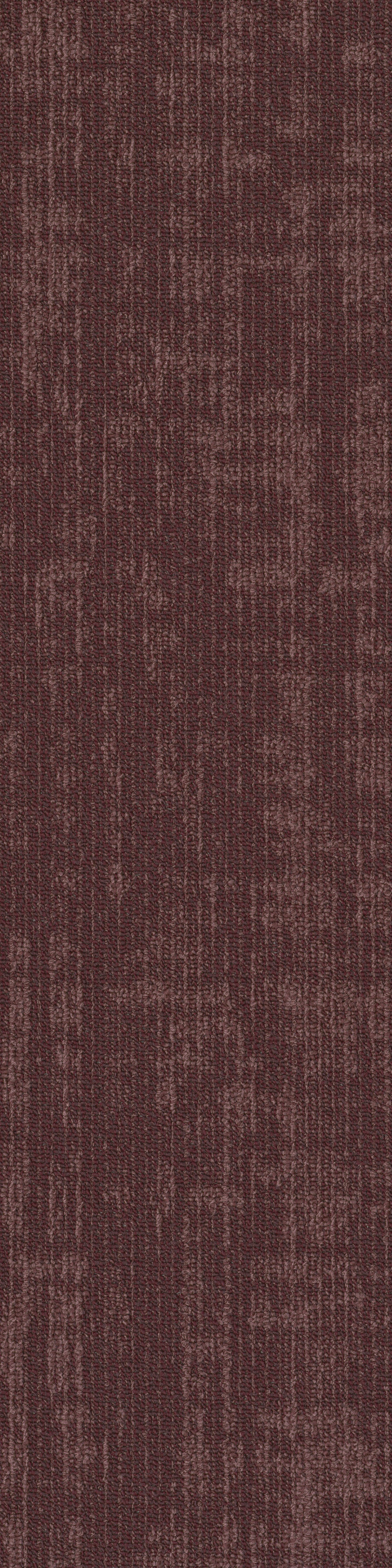 Dynamic  67850