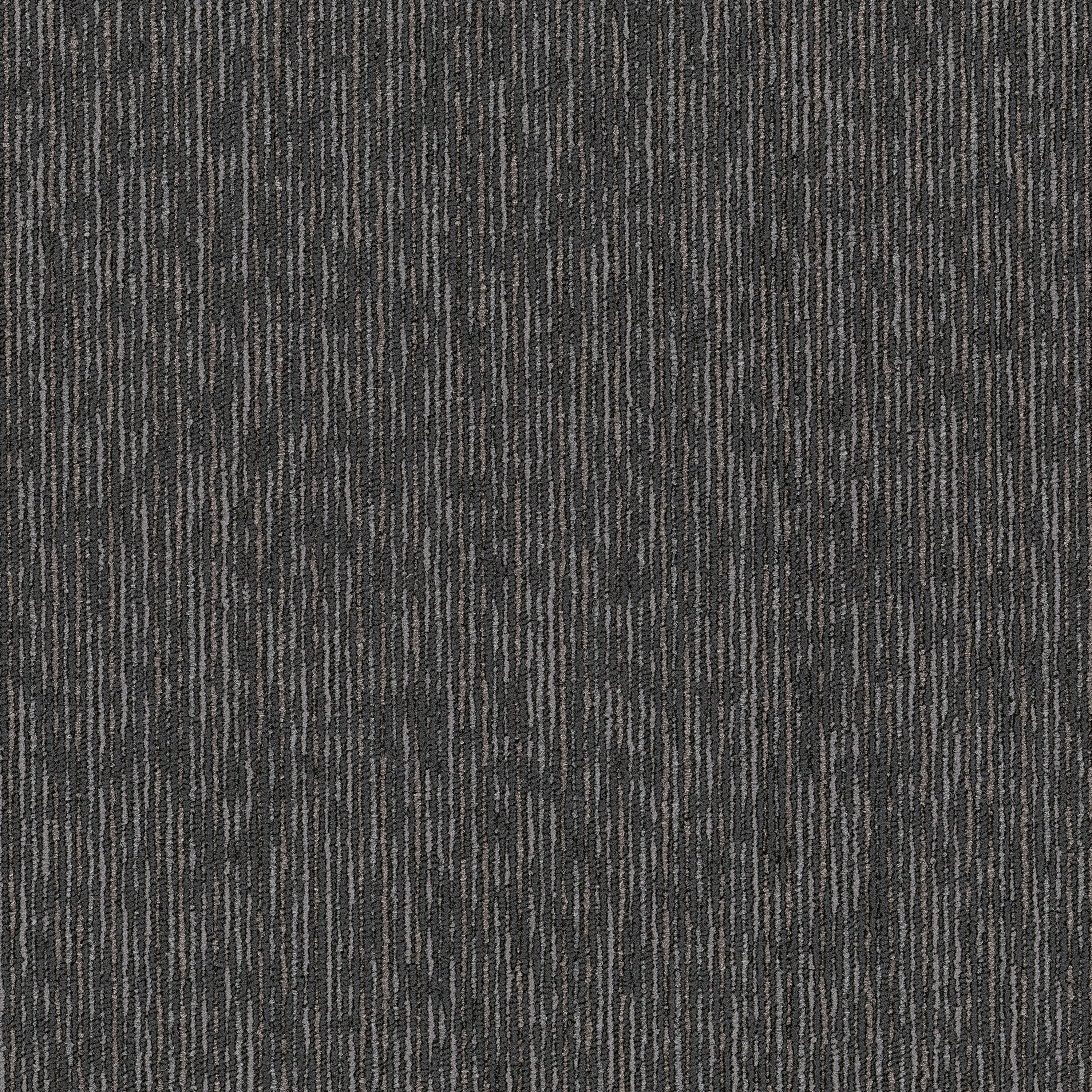 Shale 08597
