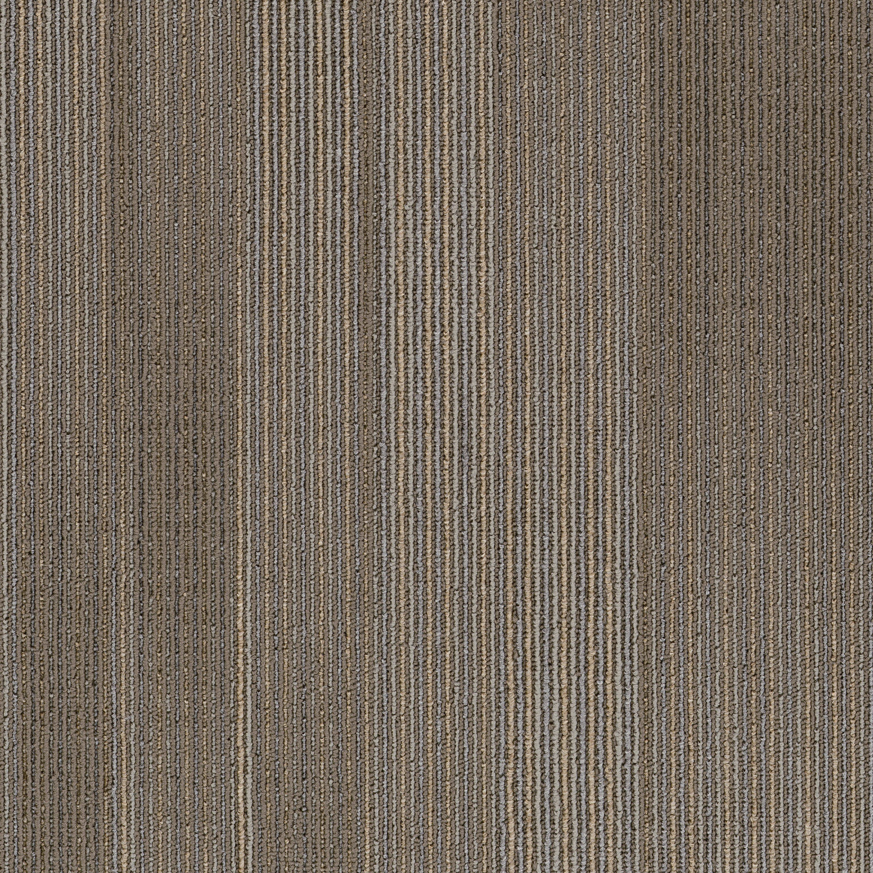 Sierra 08761