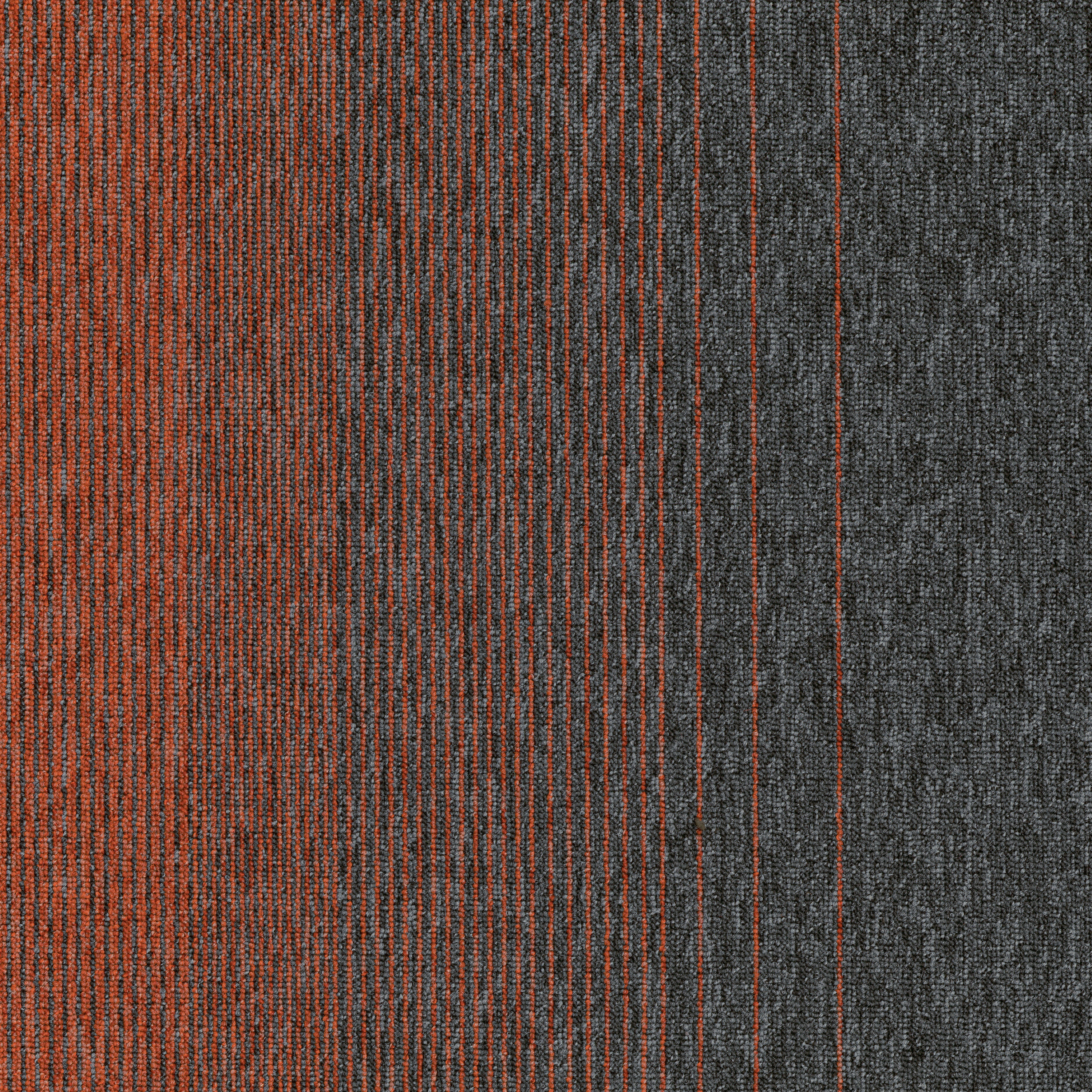 Pebble Coral 83866