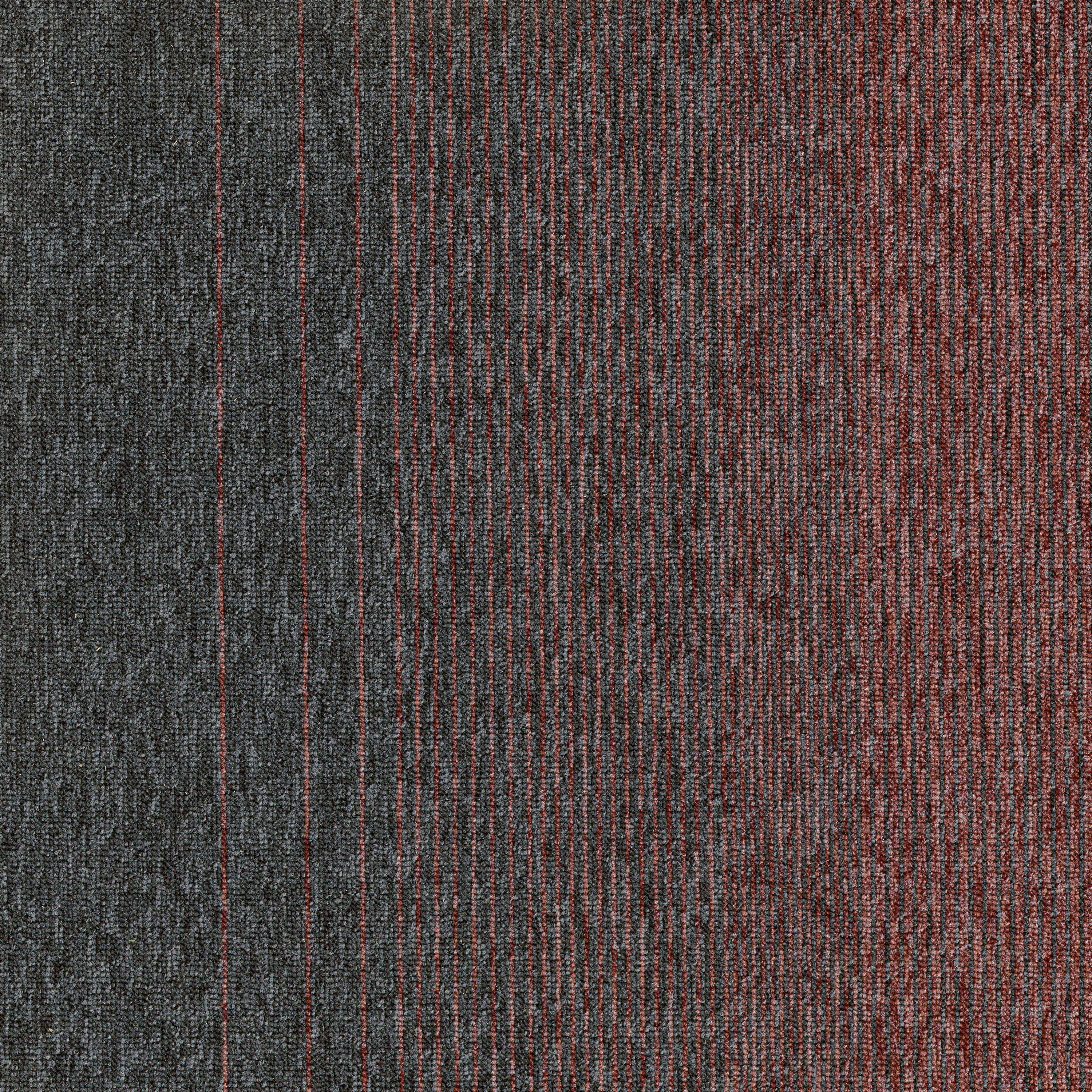 Pebble Blossom 83870