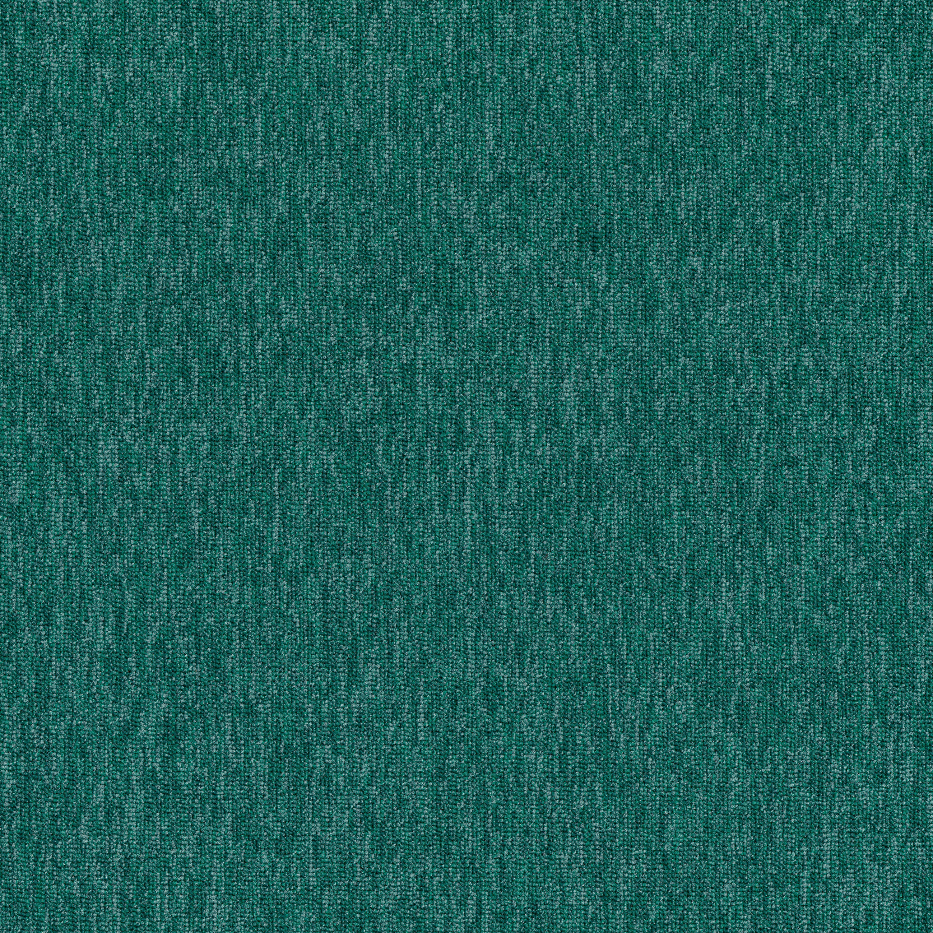 Seaweed 83335