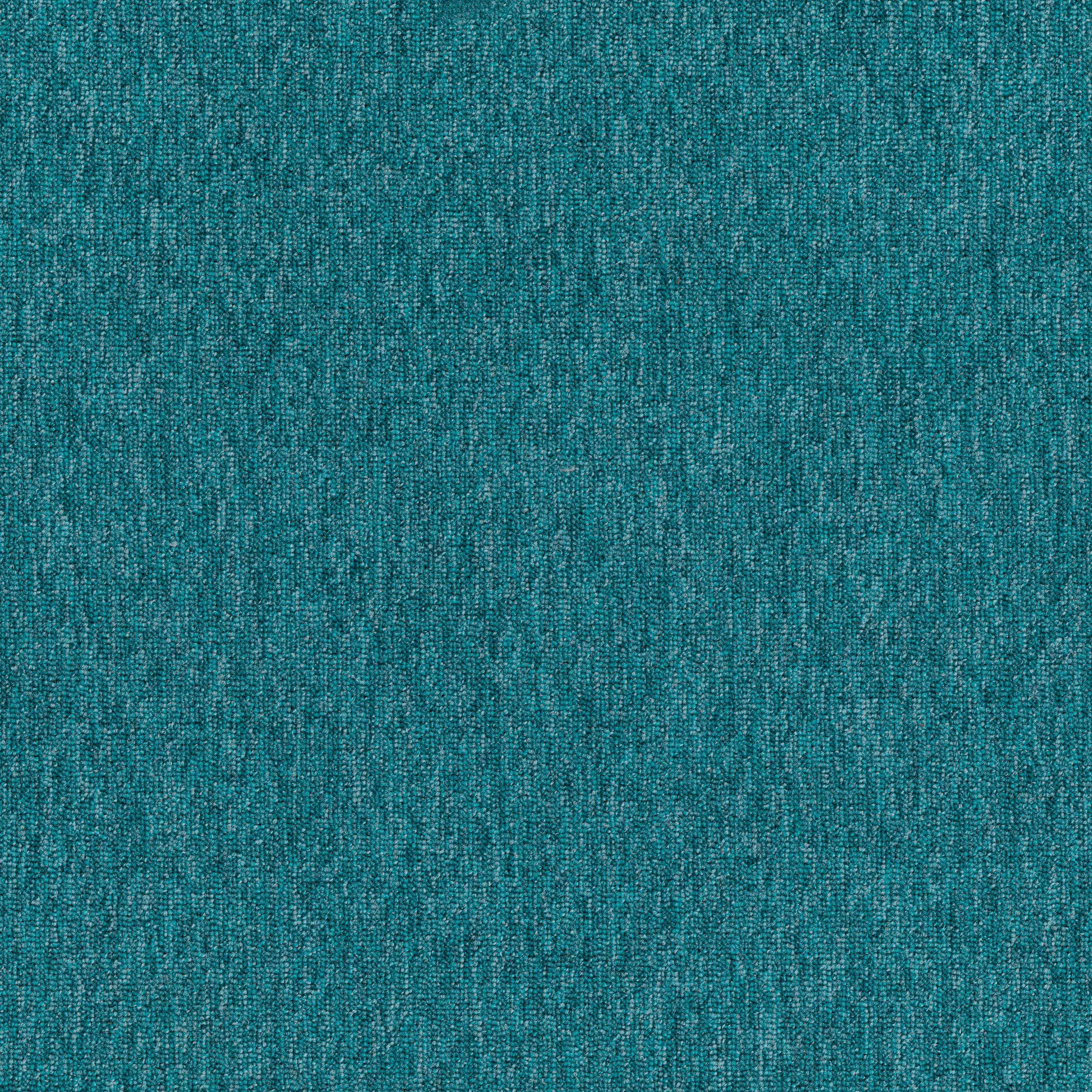 Lagoon 83419