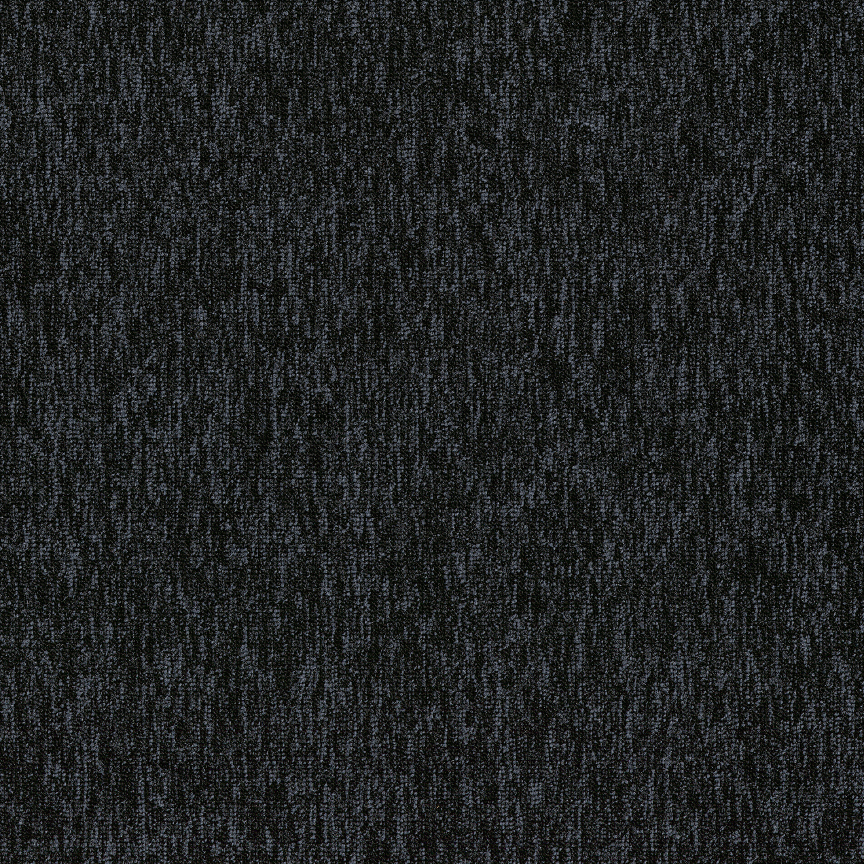 Black 83505
