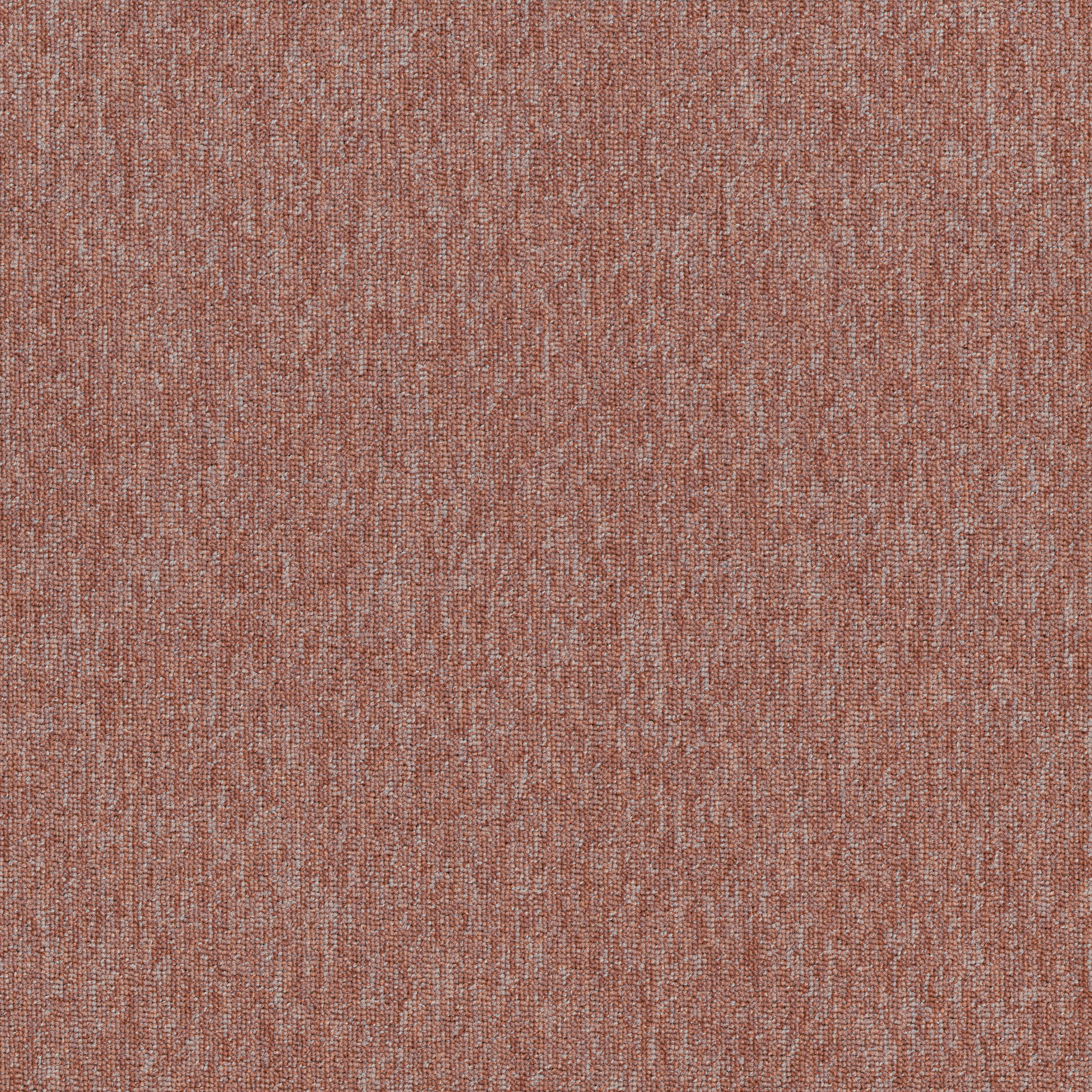 Blush 83675