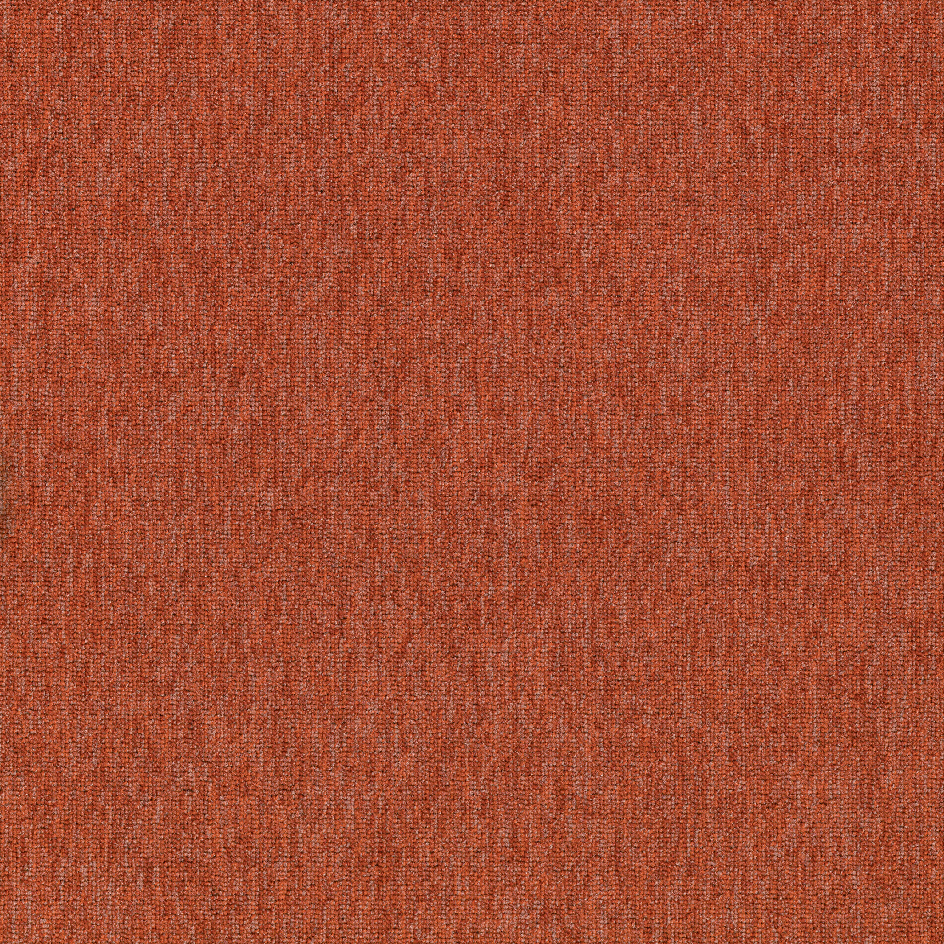 Coral 83866