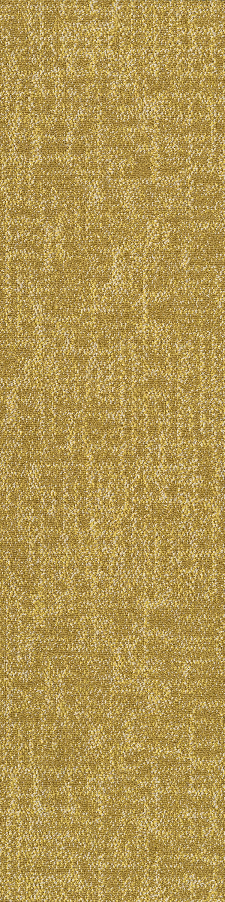 Yellow 53211