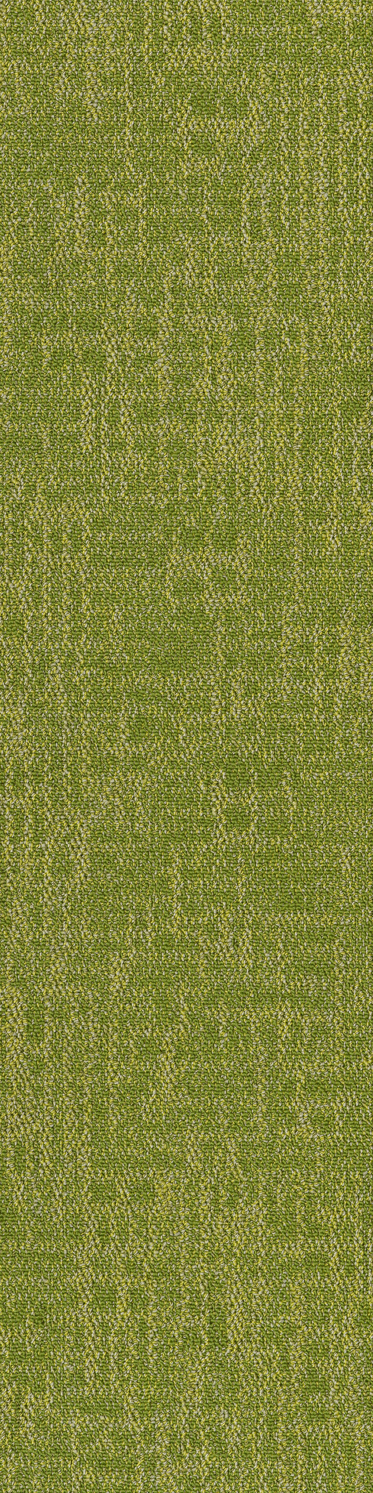 Chartreuse 53326