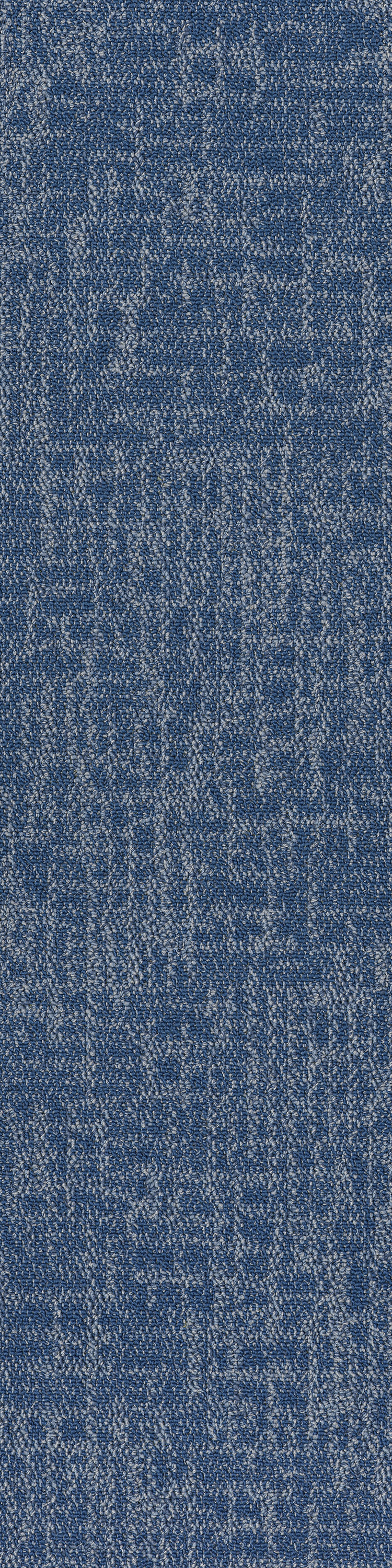 Blue 53486