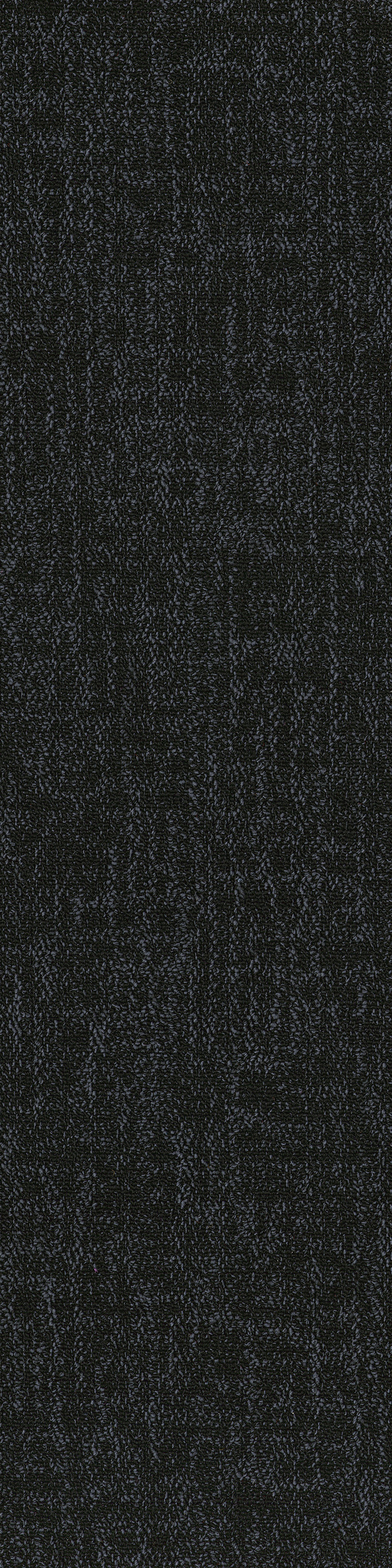 Black 53505