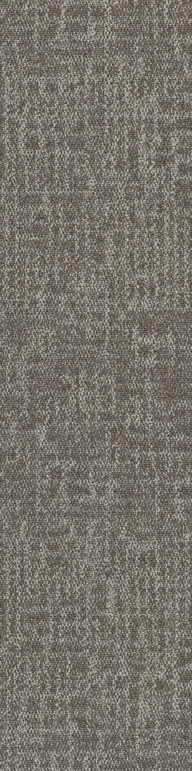 Light Taupe 53506