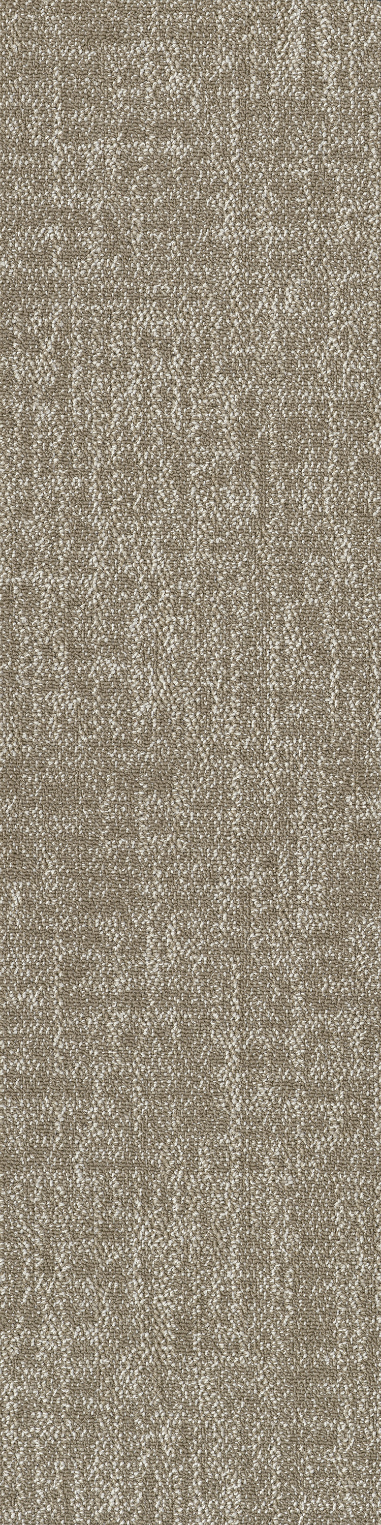 Beige 53516