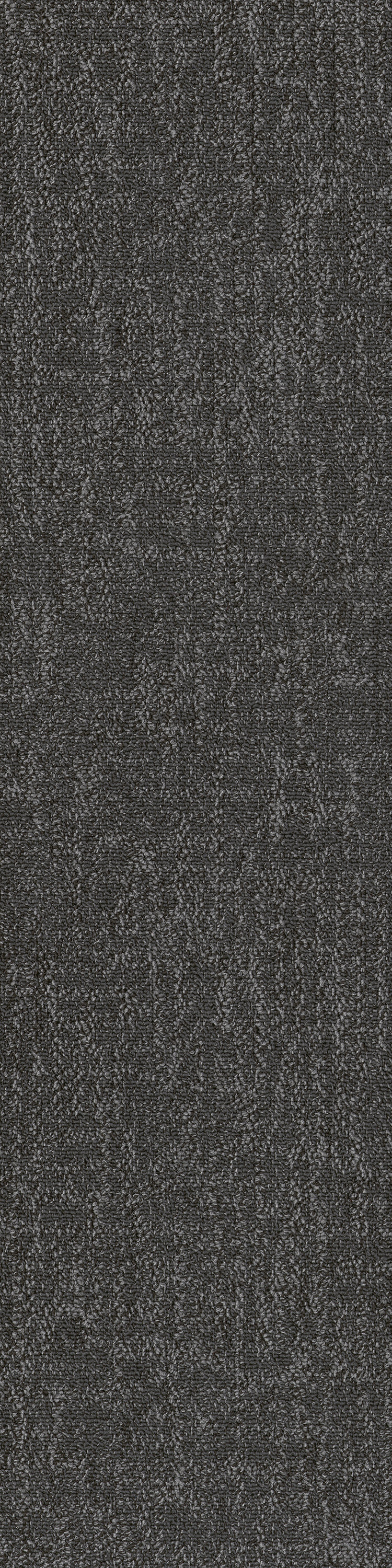 Charcoal 53557