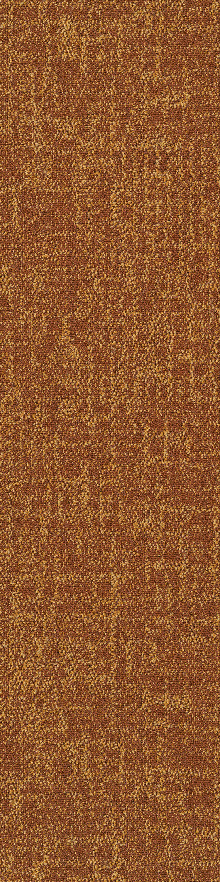 Orange 53668
