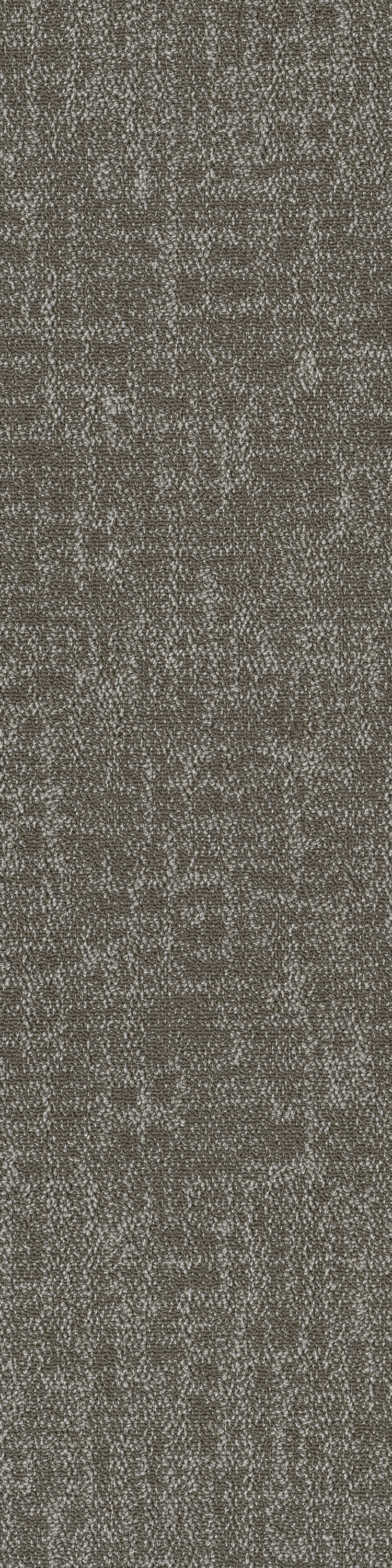 Taupe 53761