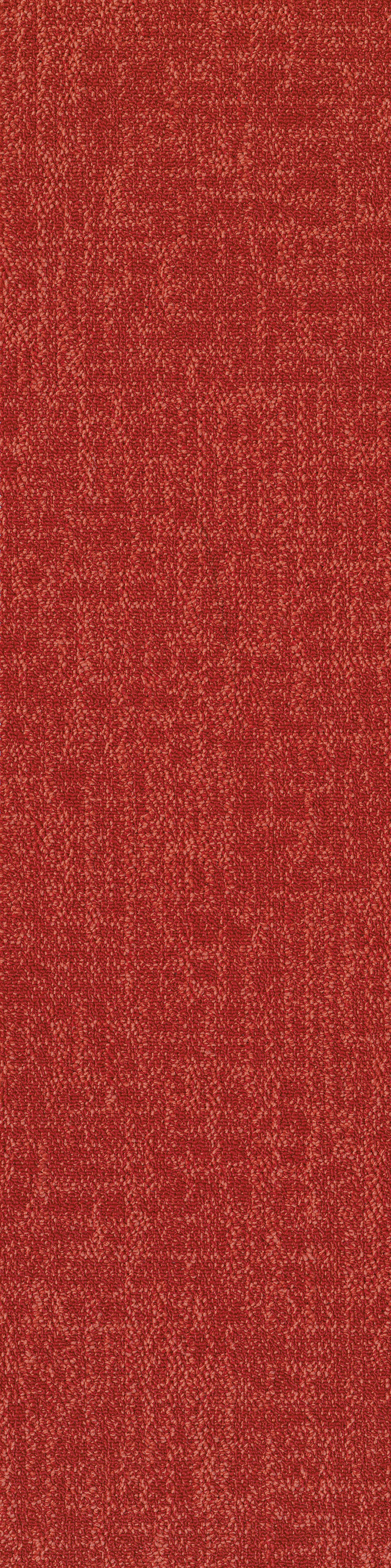 Poppy 53856
