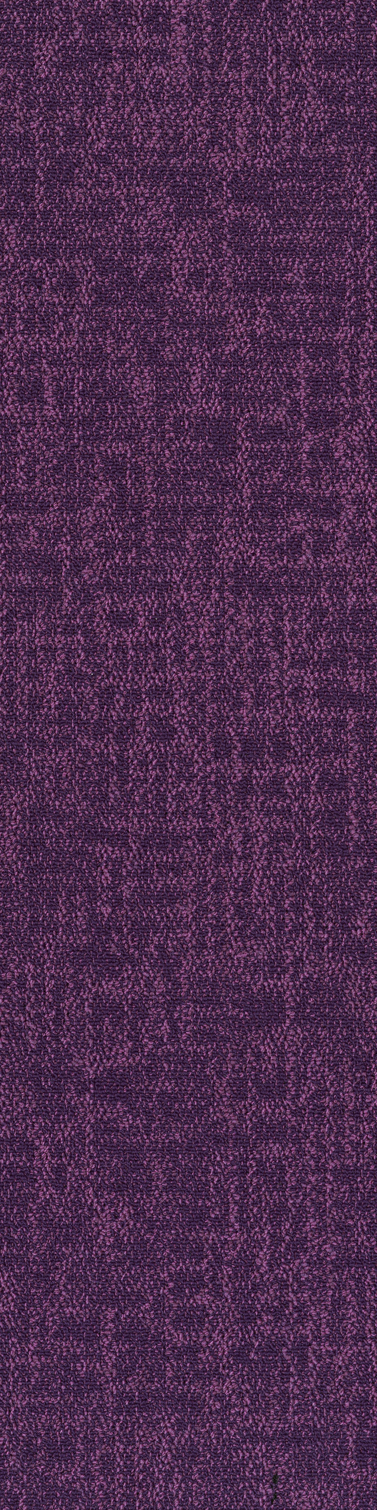 Magenta 53991
