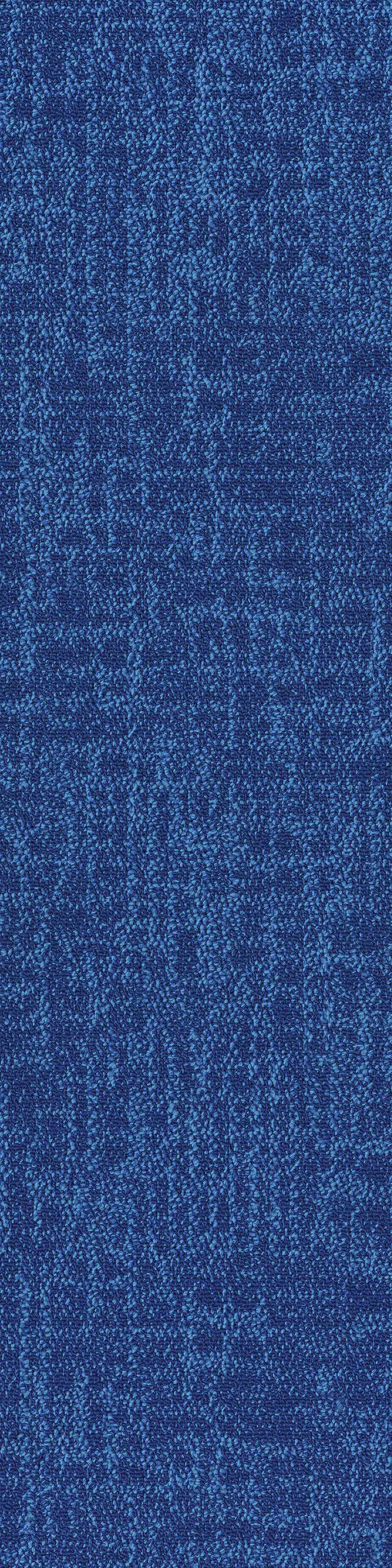 Navy 53485