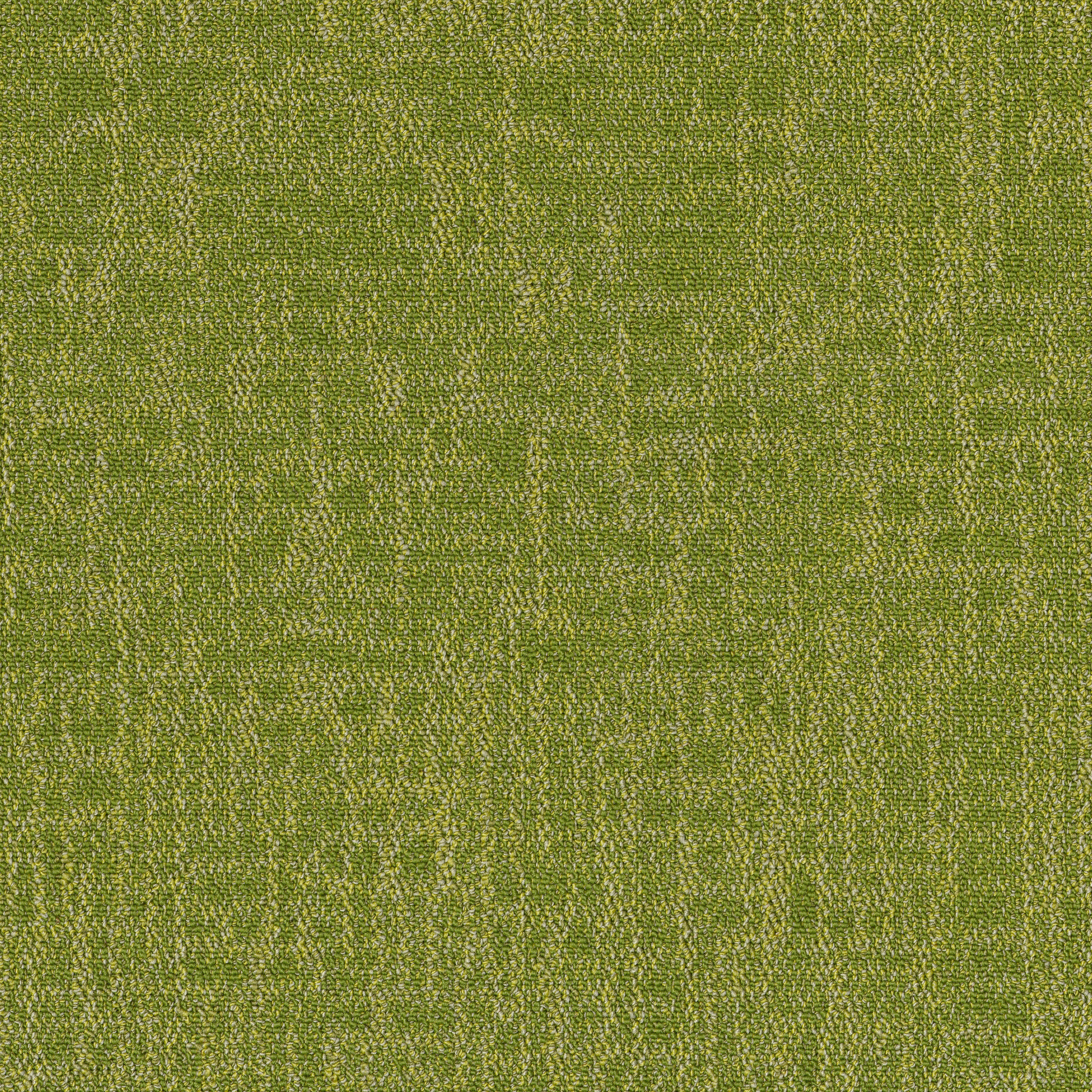 Chartreuse 53326