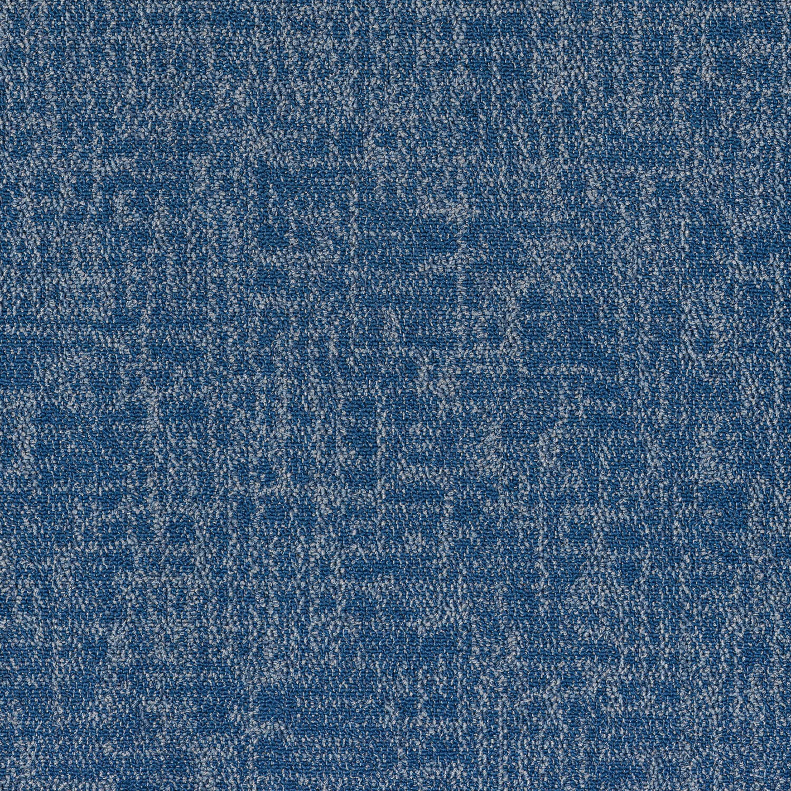 Blue 53486