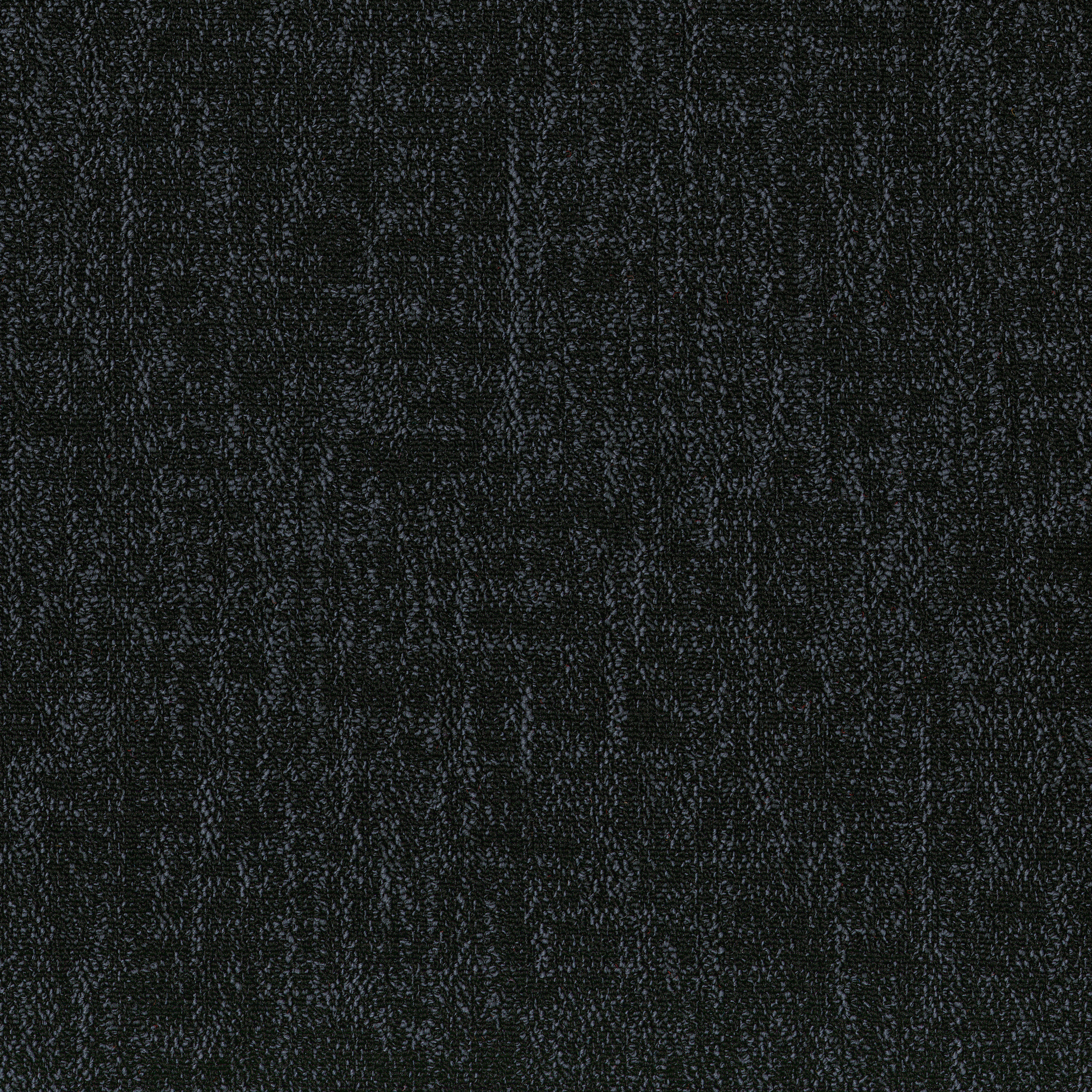 Black 53505