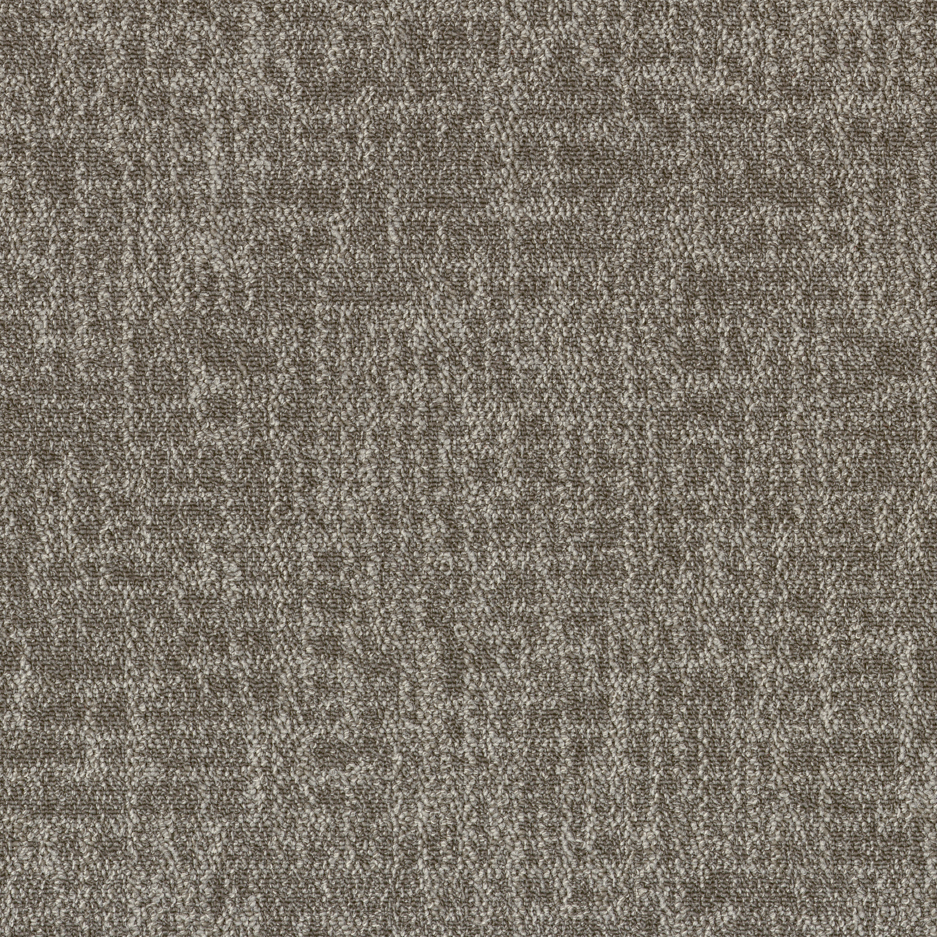 Light Taupe 53506