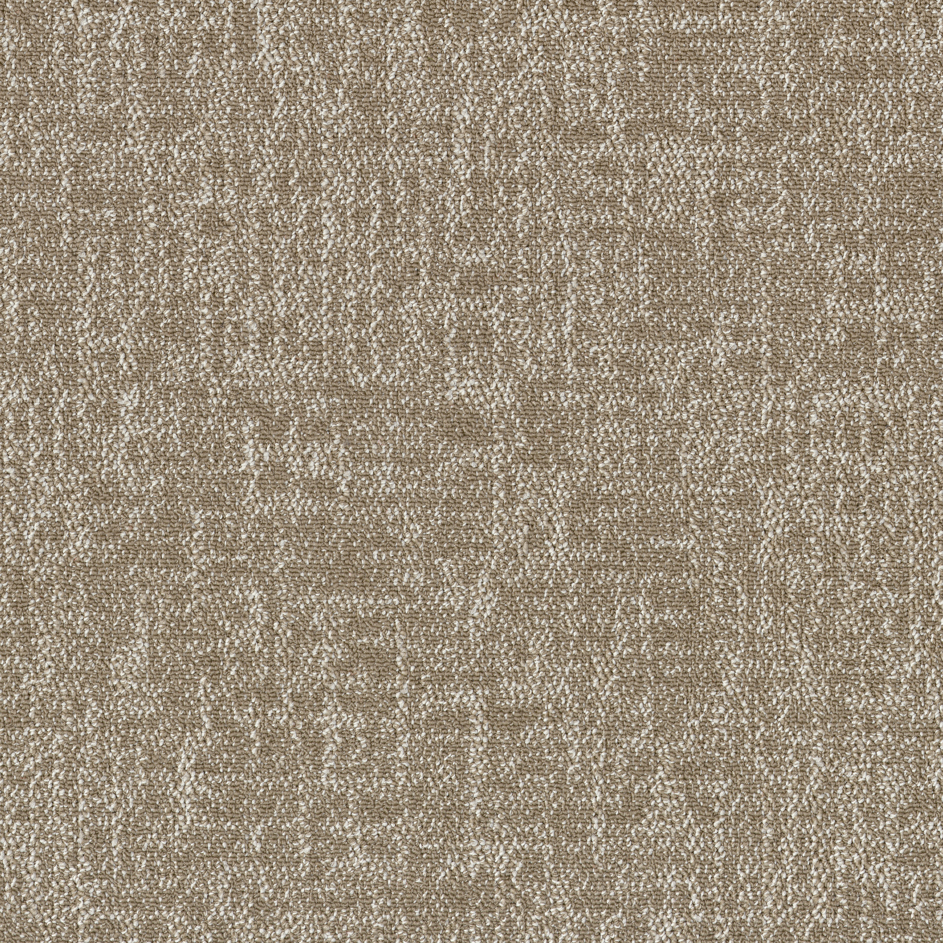 Beige 53516