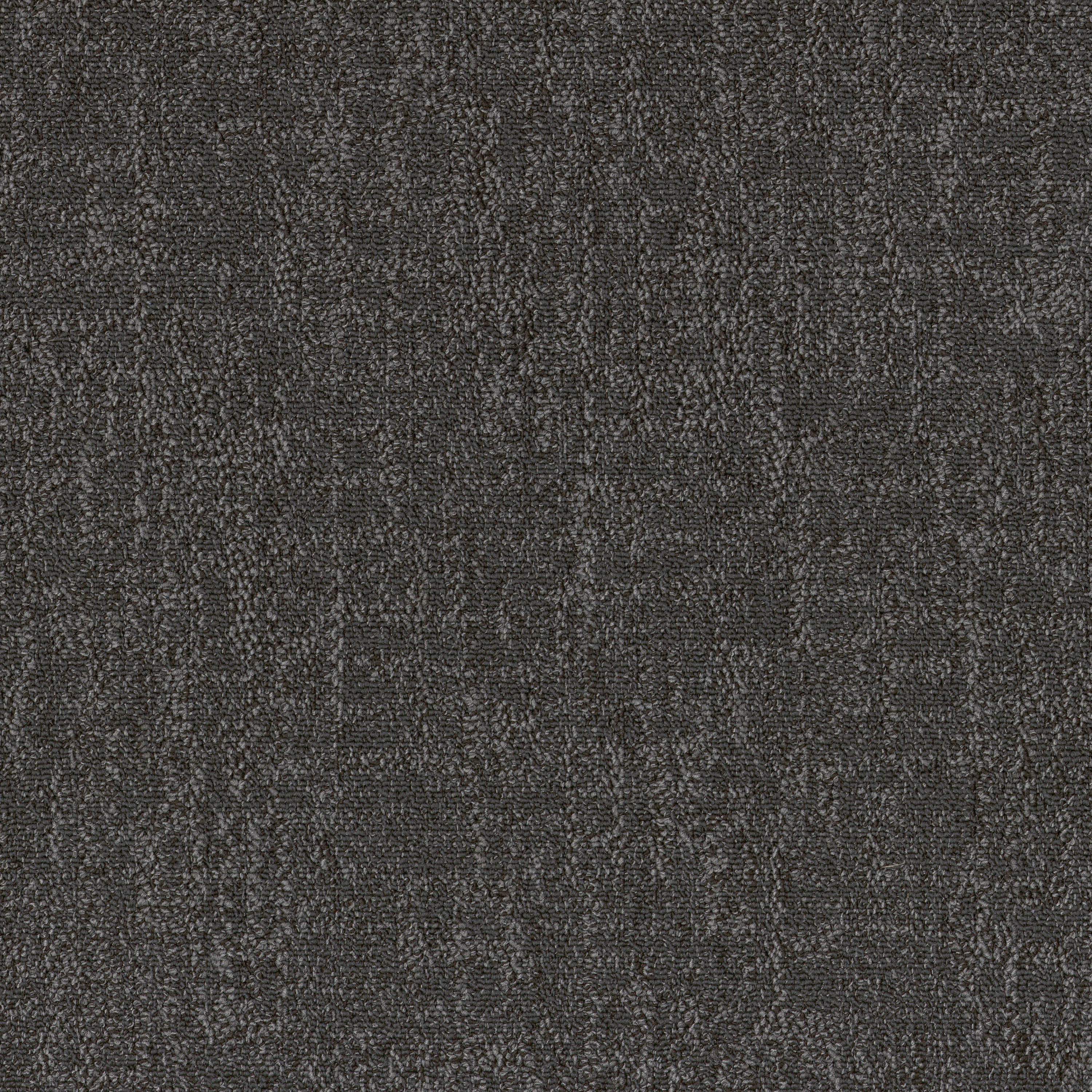 Charcoal 53557