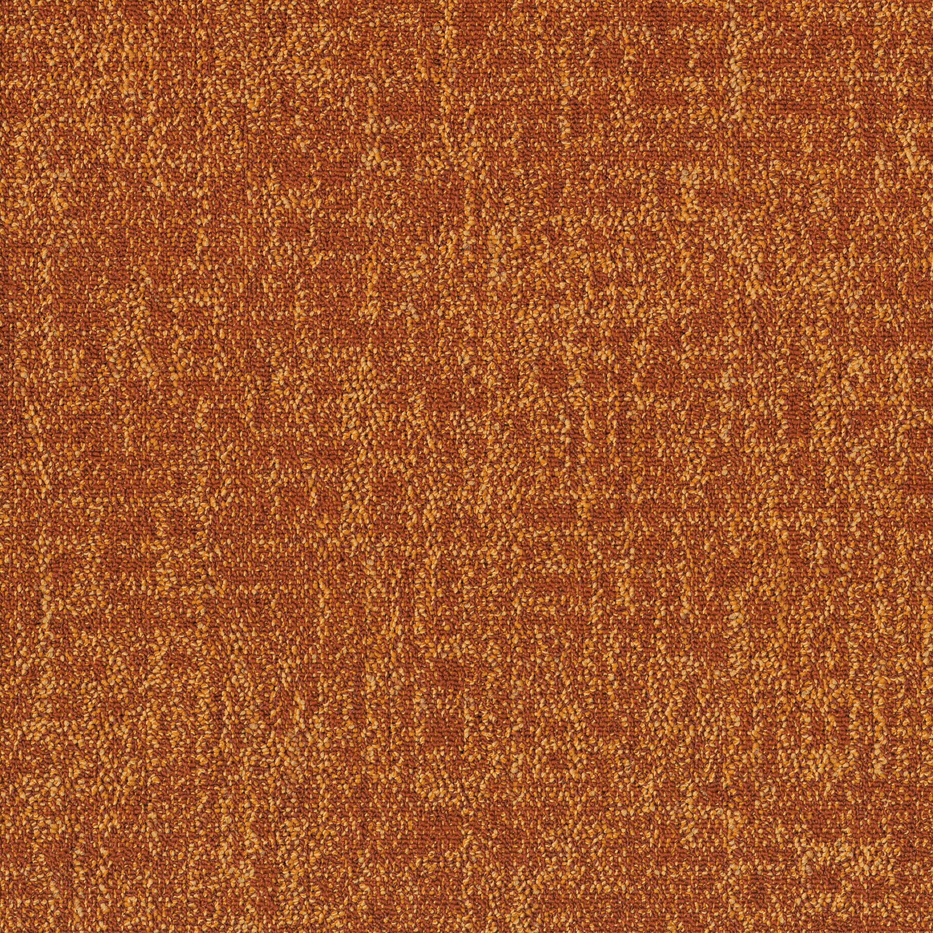 Orange 53668