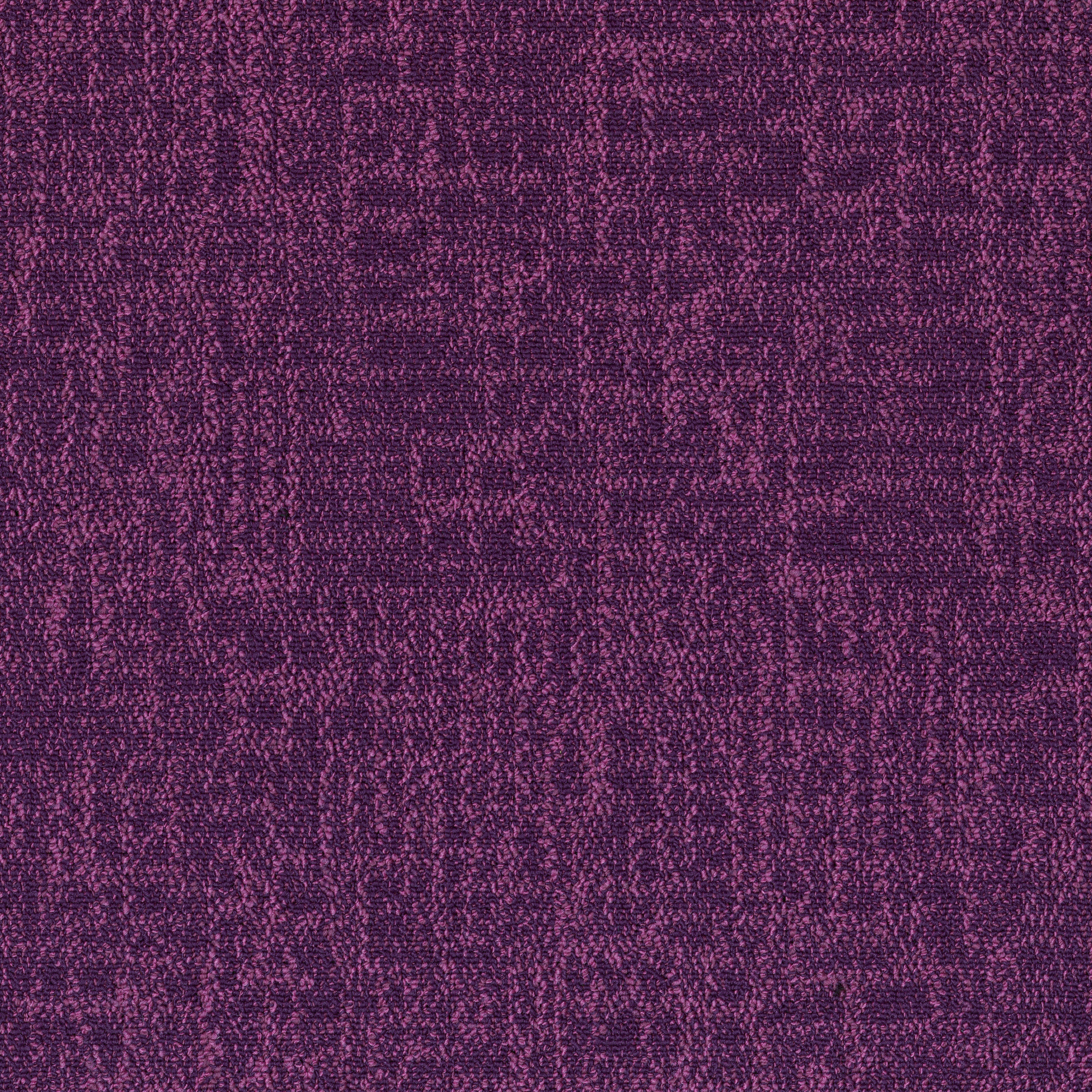 Magenta 53991