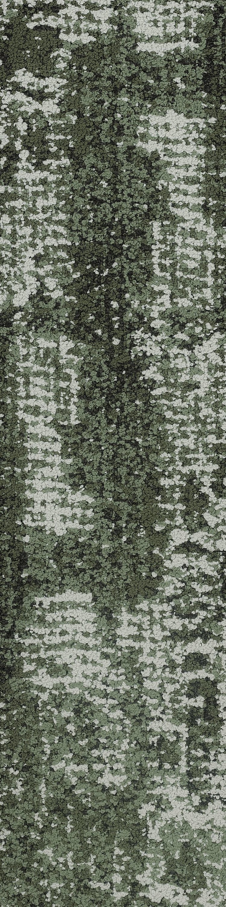 Ivy 35375