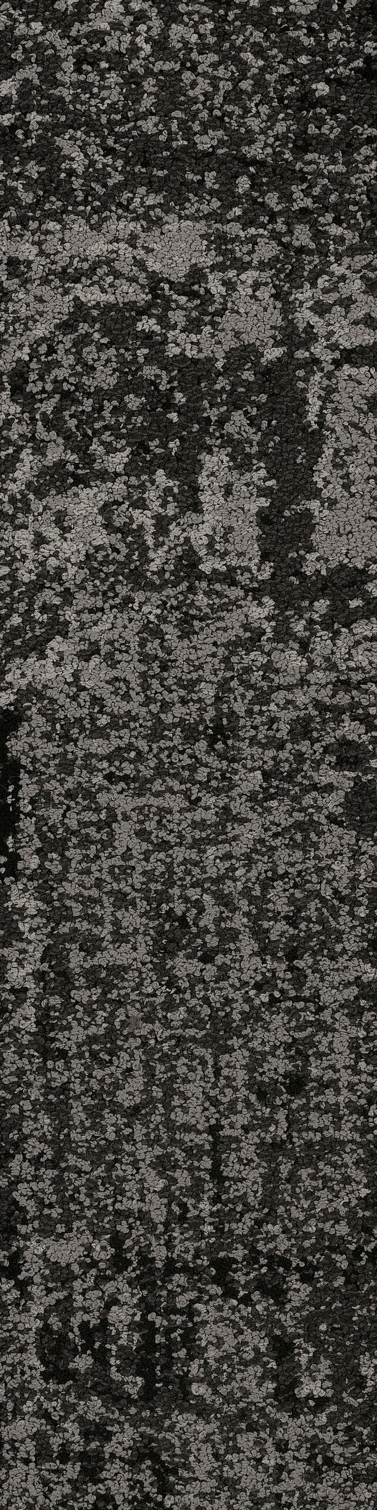 Espresso 35585