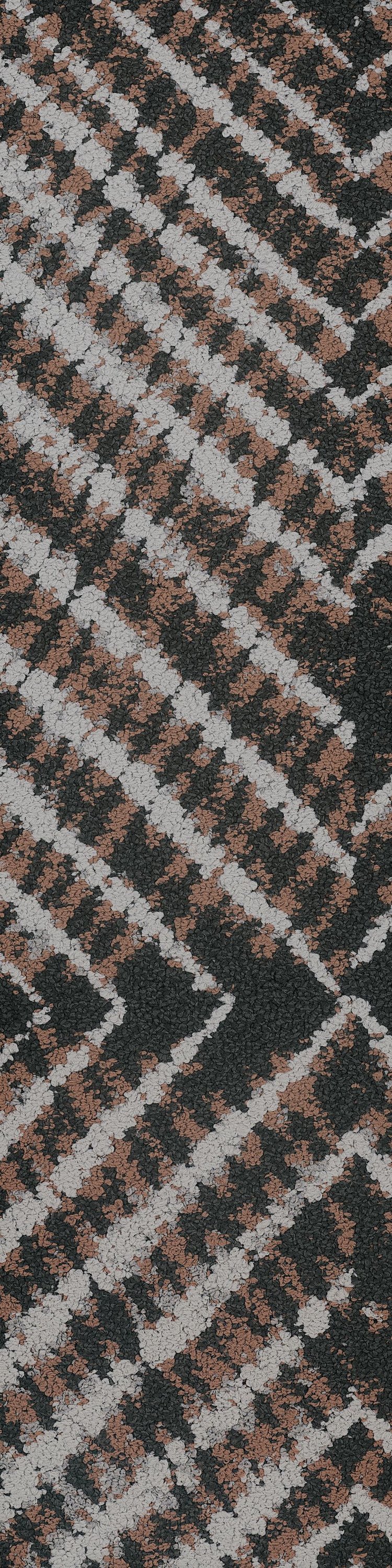 Apricot 35675