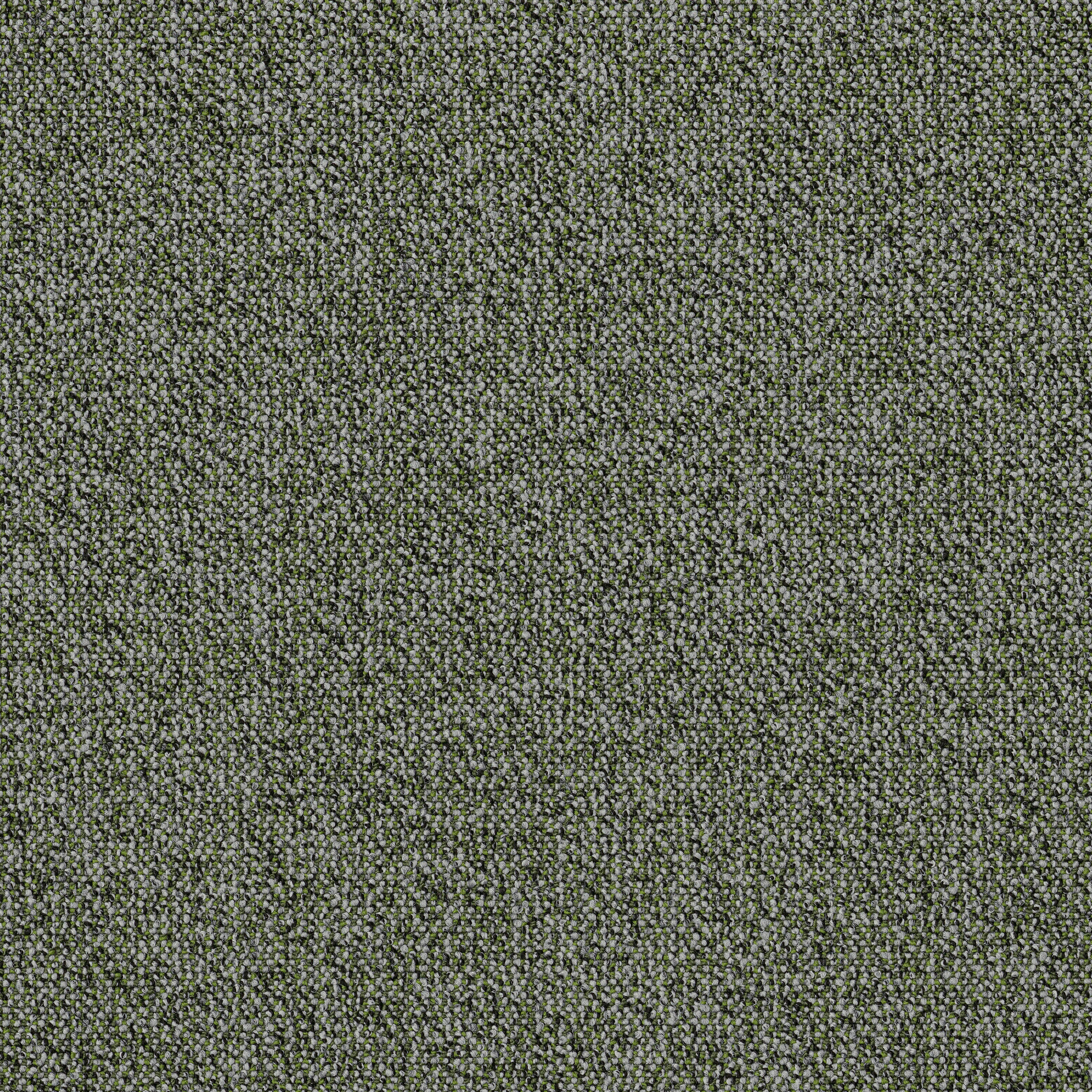 Greenery 48370