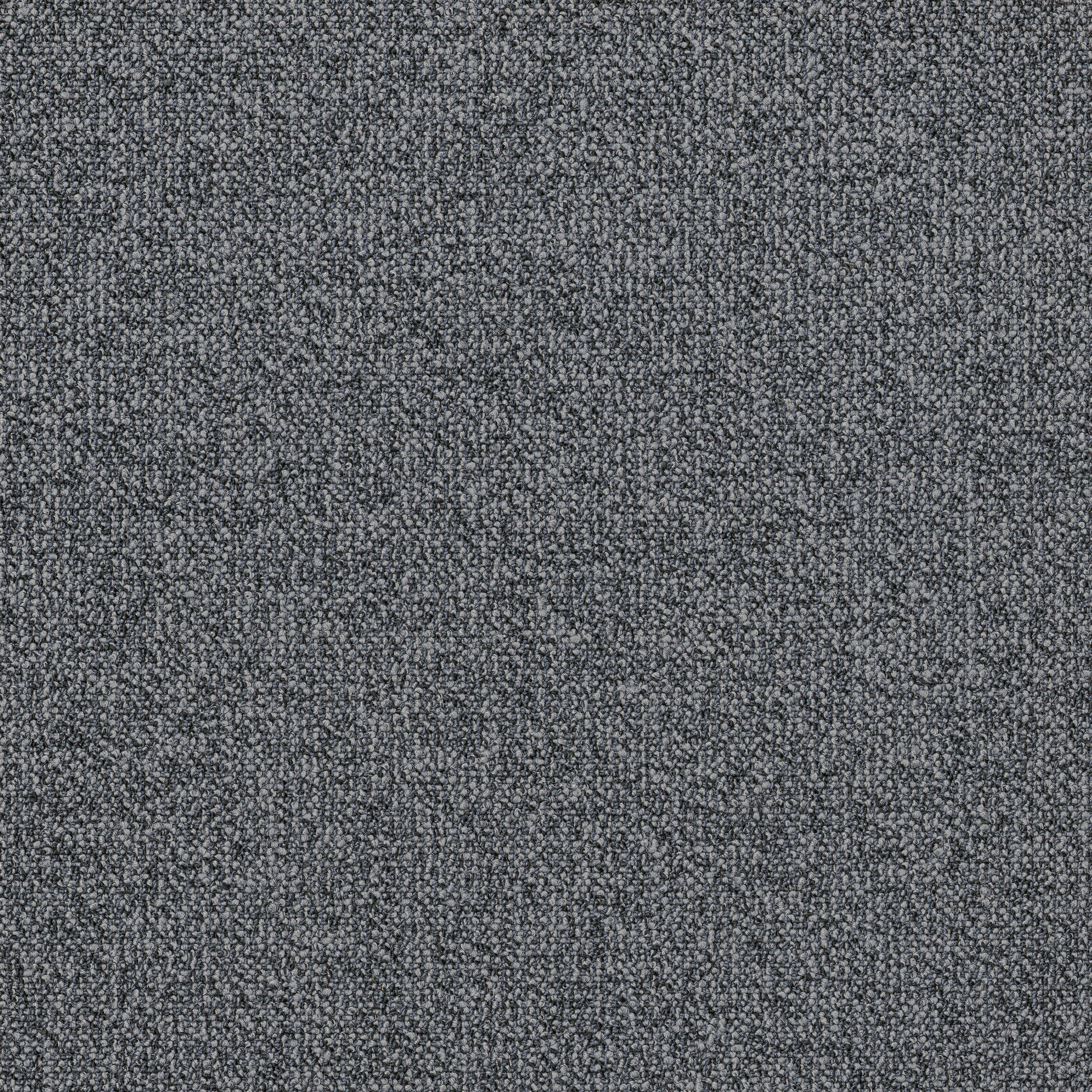 Sense 48535