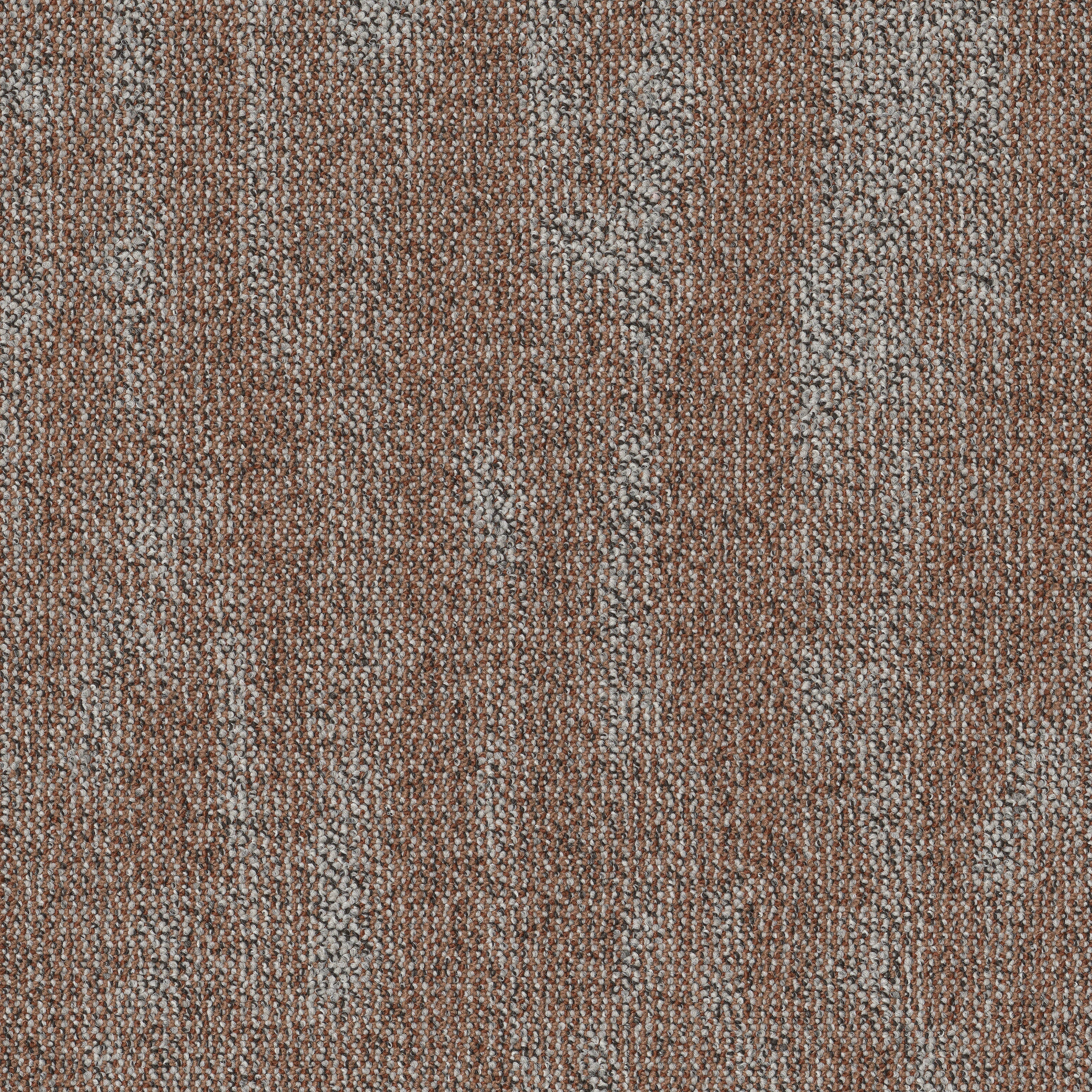 Apricot 48675