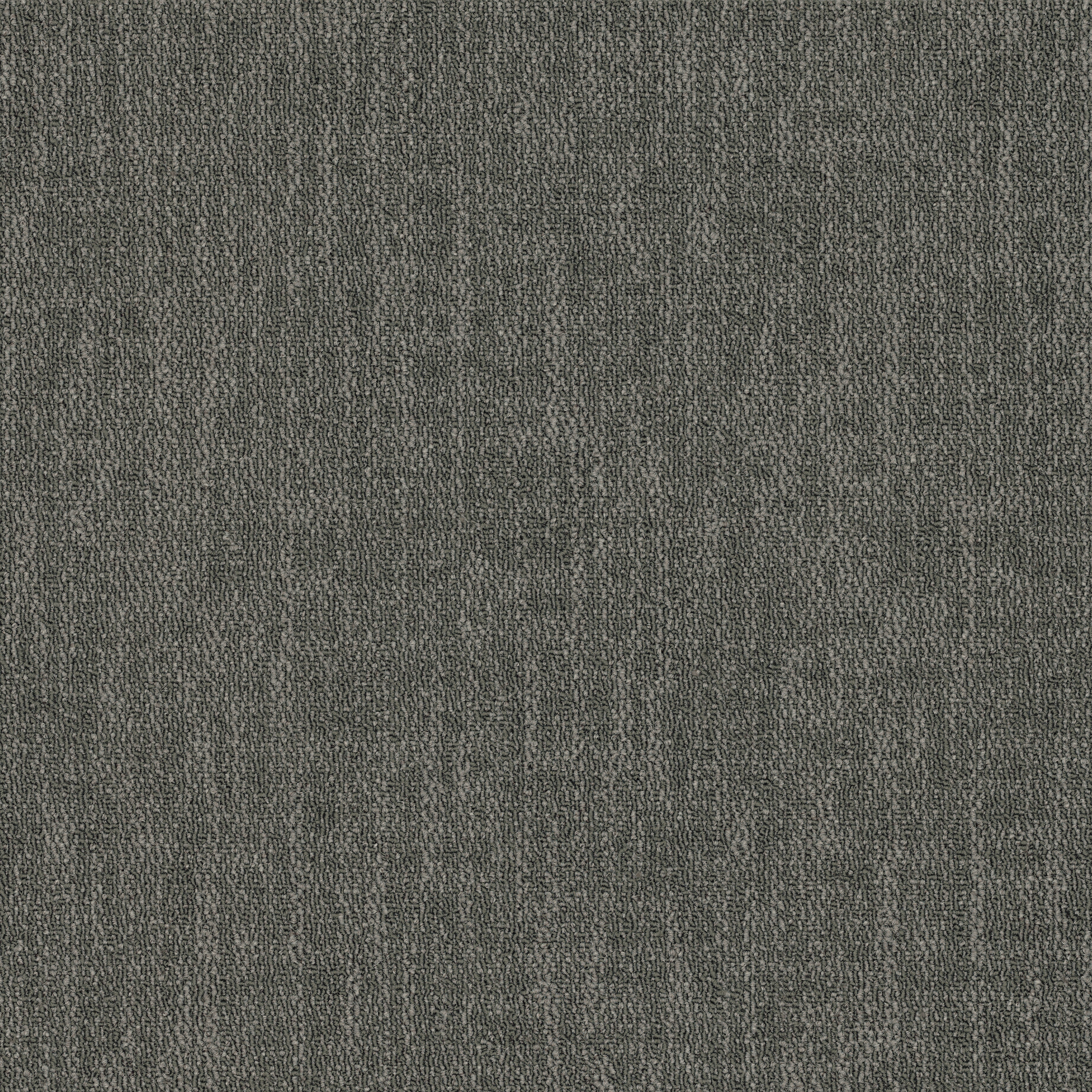 Shadow 26557