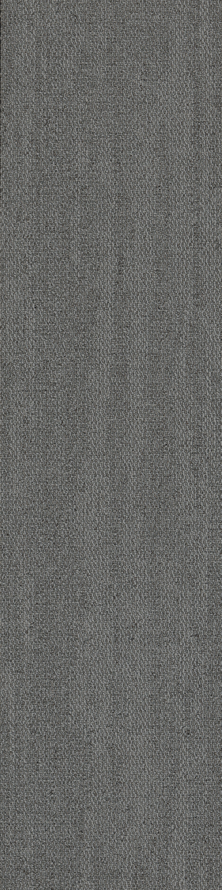 Grey Mist 26481