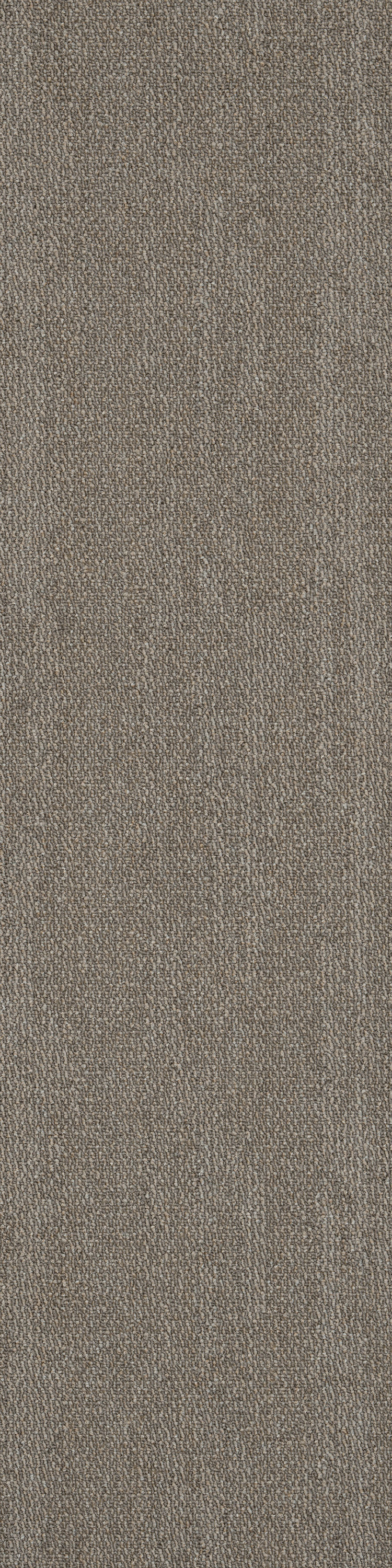 Mountain 26518