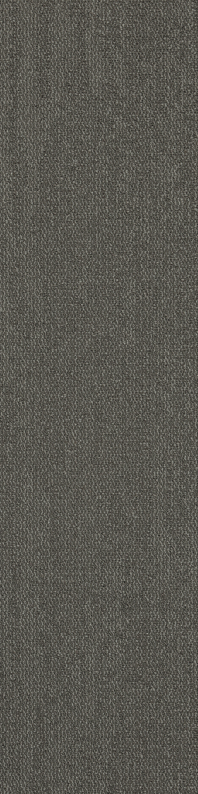 Shadow 26557