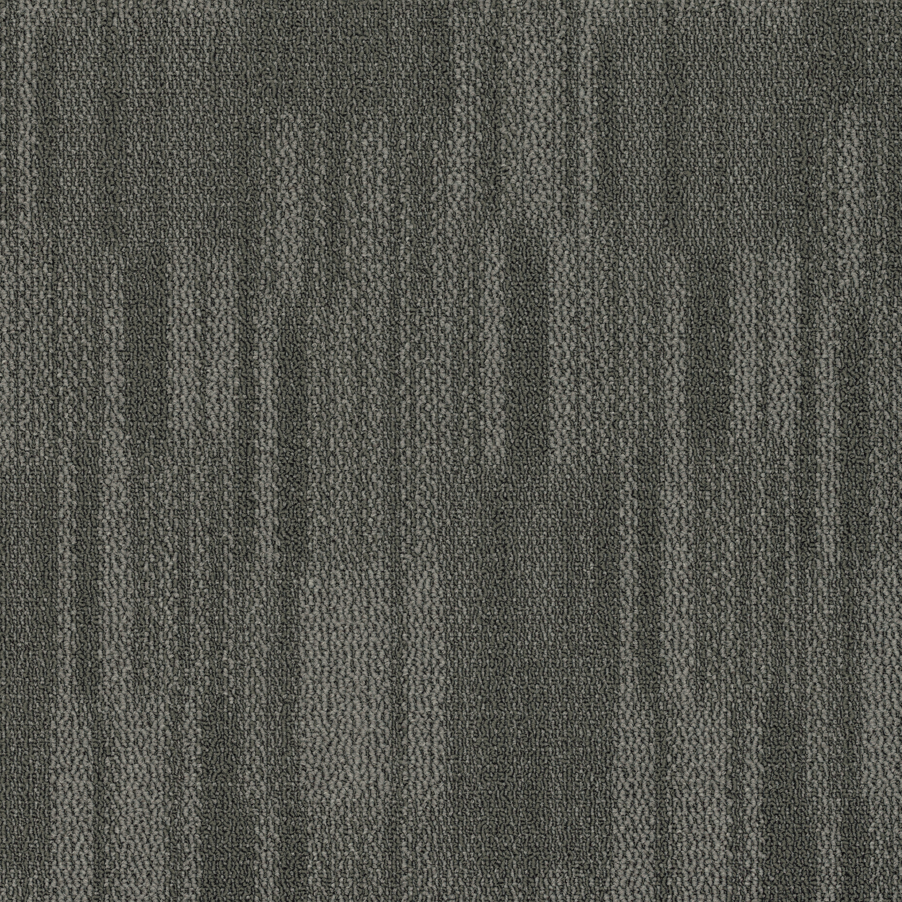 Shadow 26557